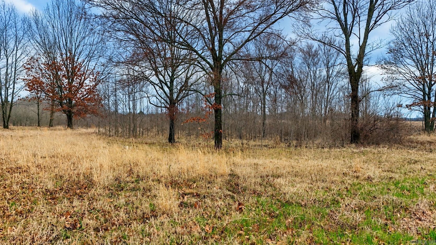 Tbd Levinston North Property Photo 8