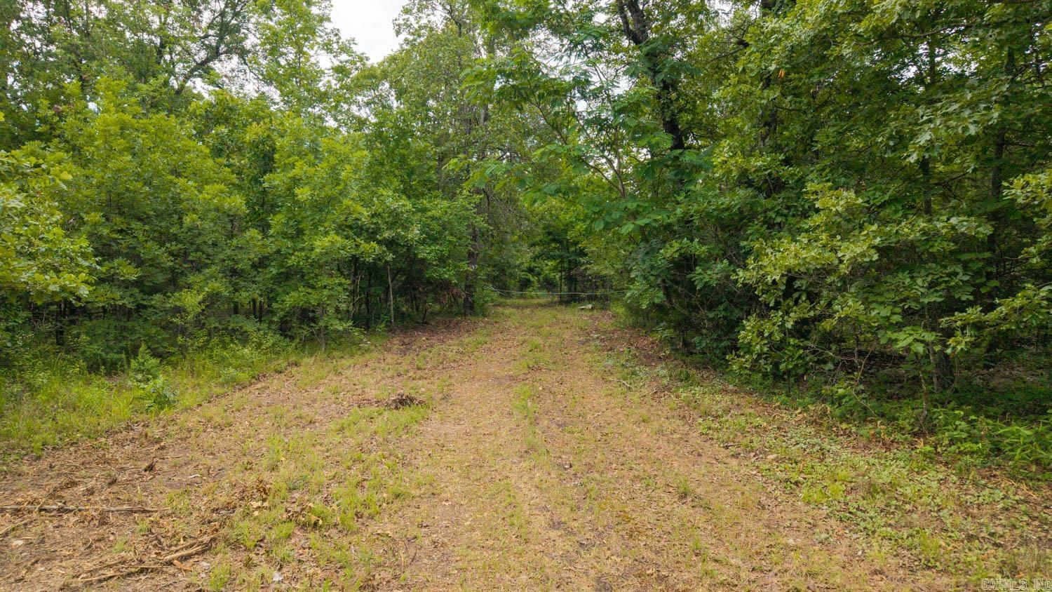 637 County Road 259 Property Photo 3