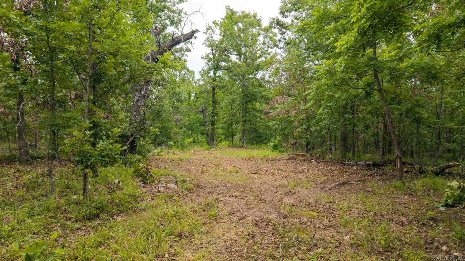 637 County Road 259 Property Photo 6