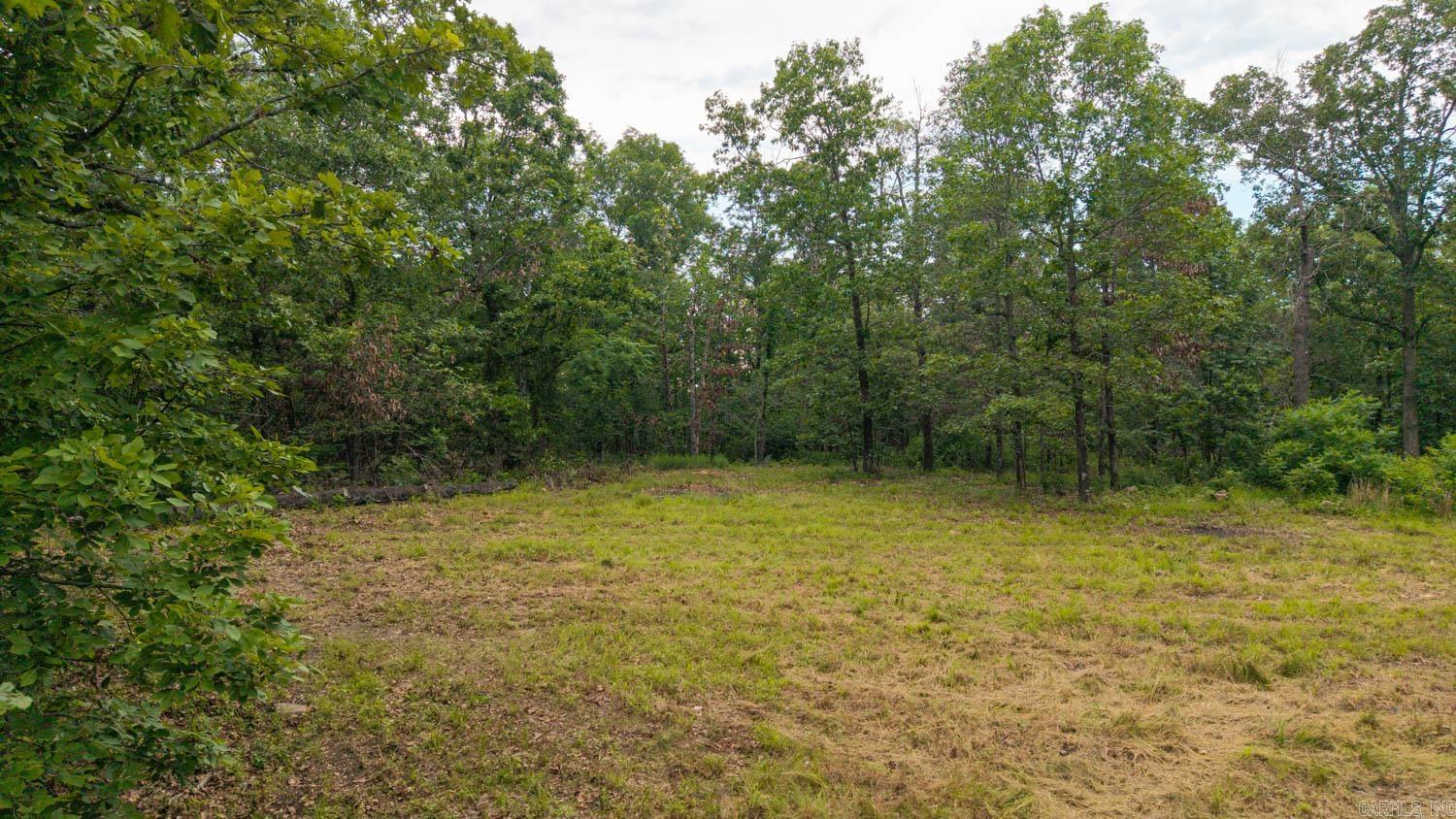 637 County Road 259 Property Photo 8