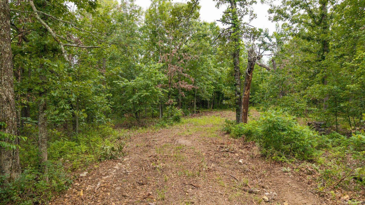 637 County Road 259 Property Photo 10