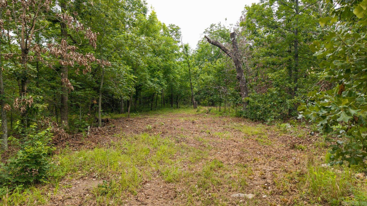 637 County Road 259 Property Photo 11