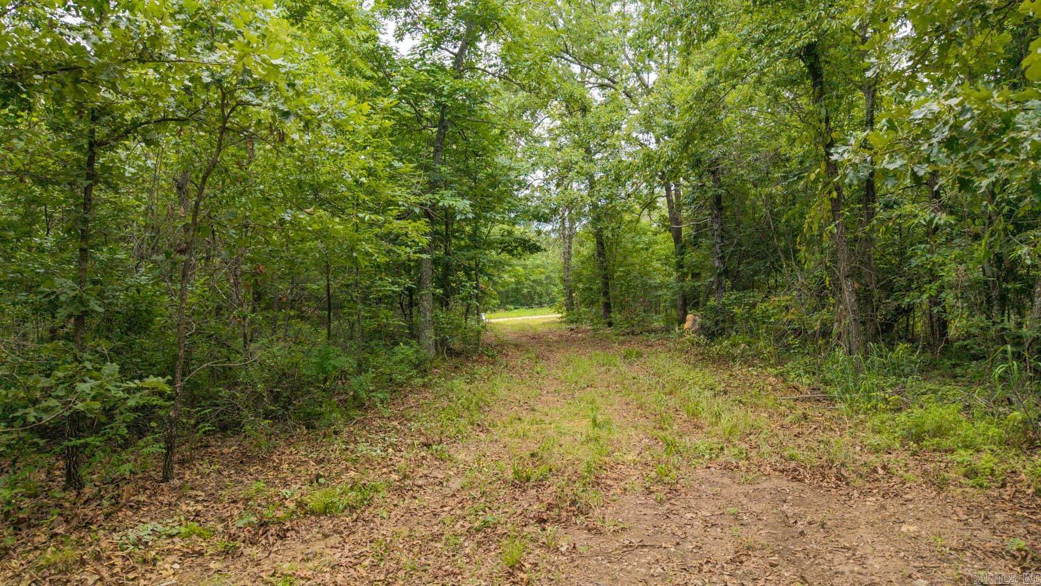 637 County Road 259 Property Photo 12