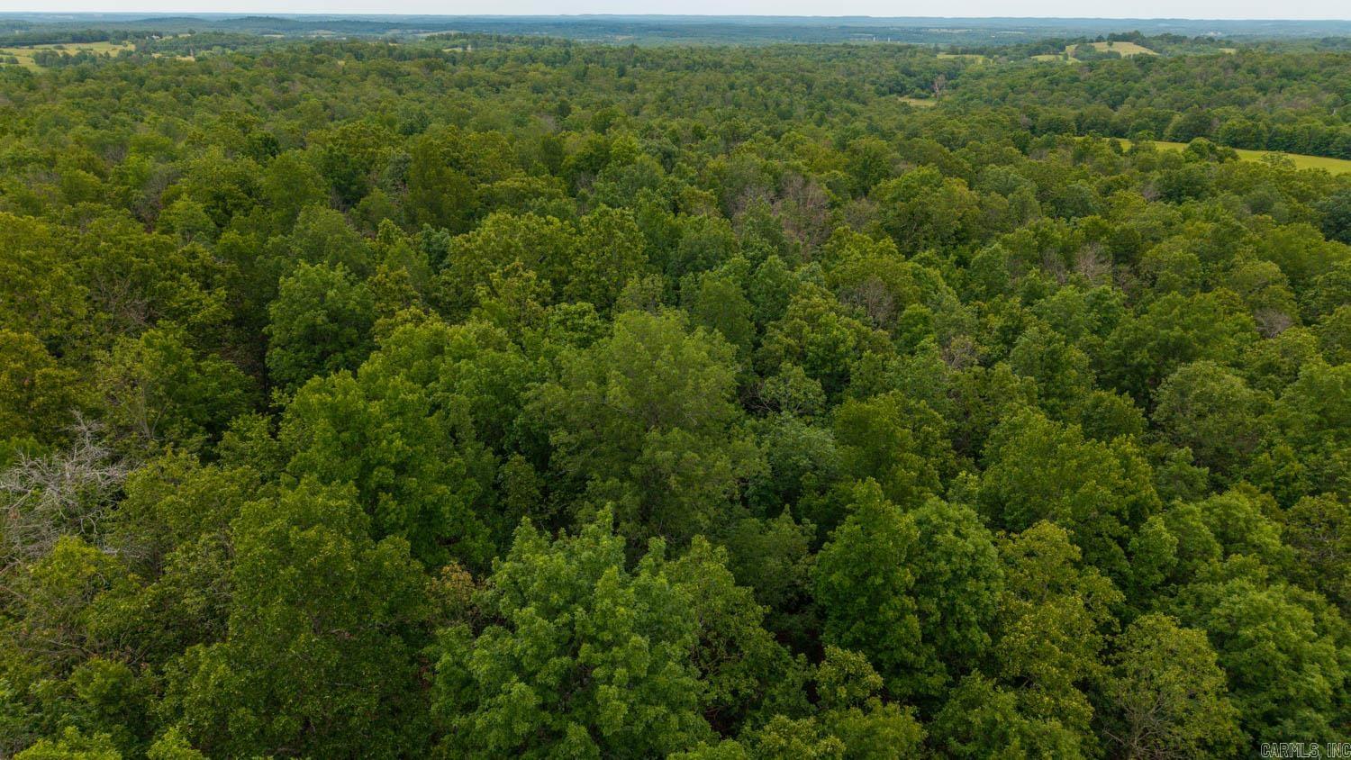 637 County Road 259 Property Photo 16