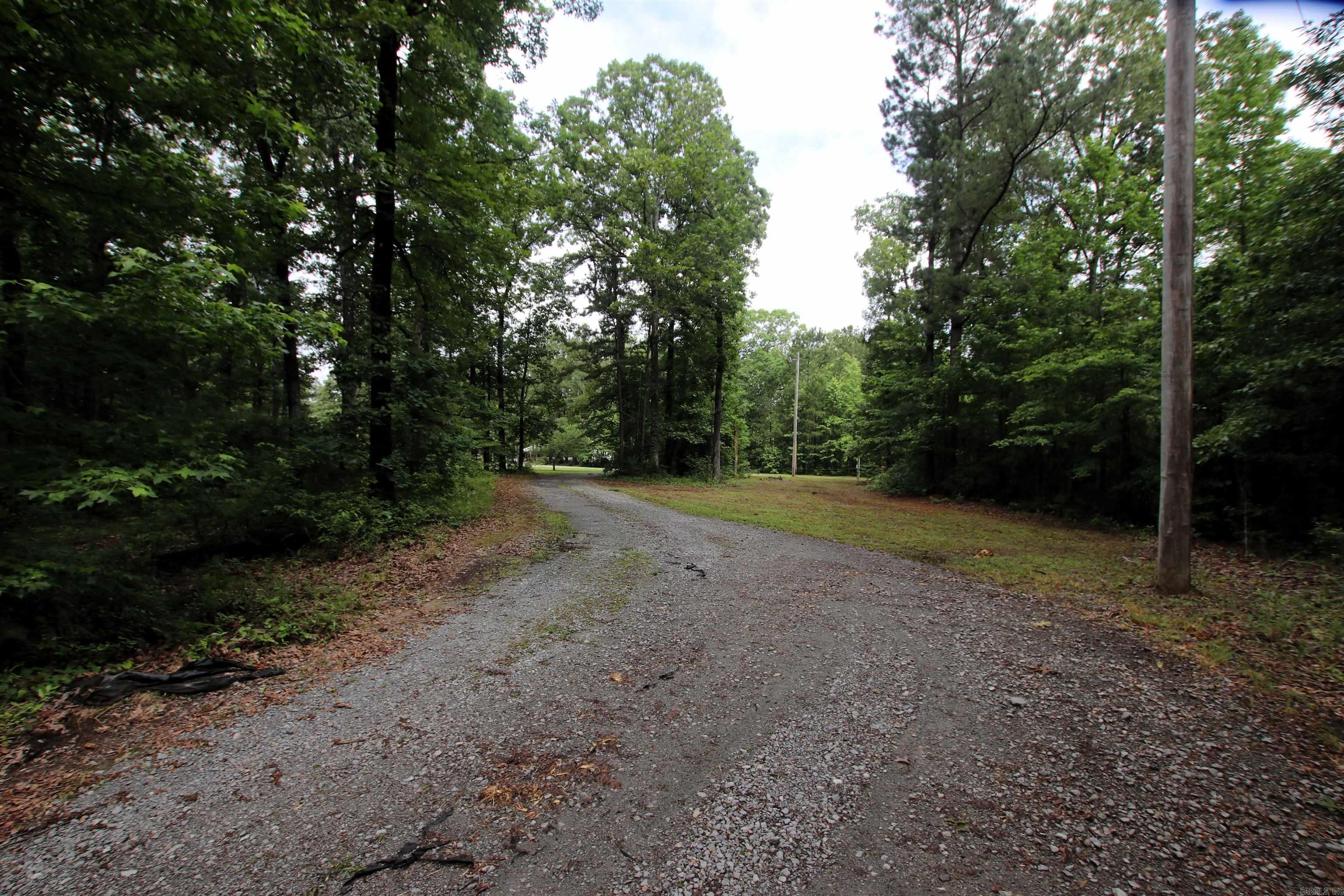1153 Wilma Sue Lane Property Photo 3