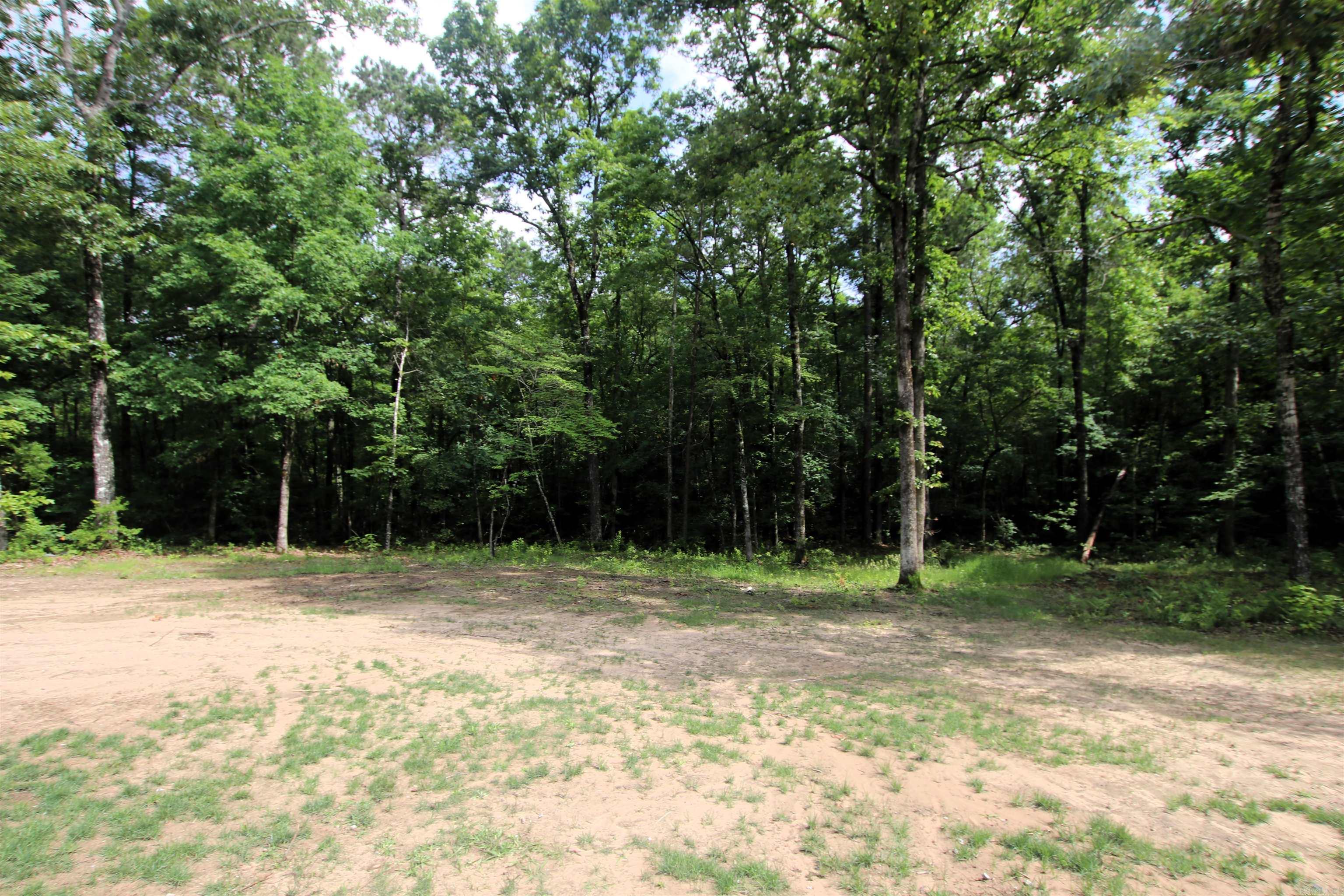 1153 Wilma Sue Lane Property Photo 34