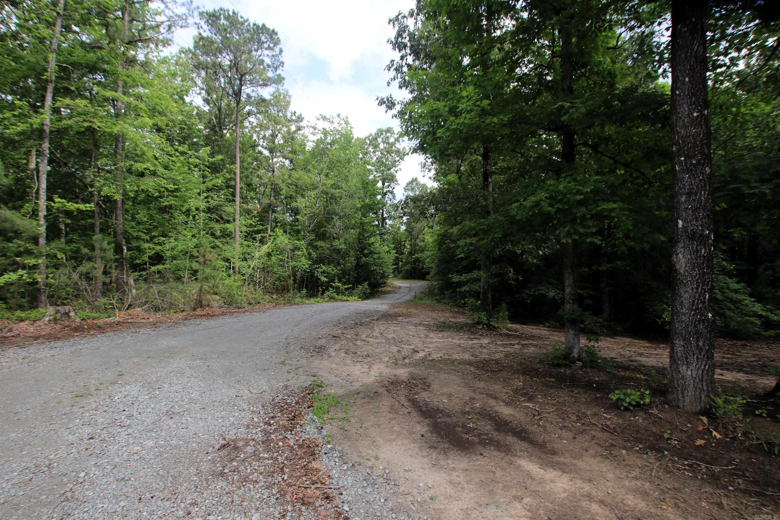 1153 Wilma Sue Lane Property Photo 49