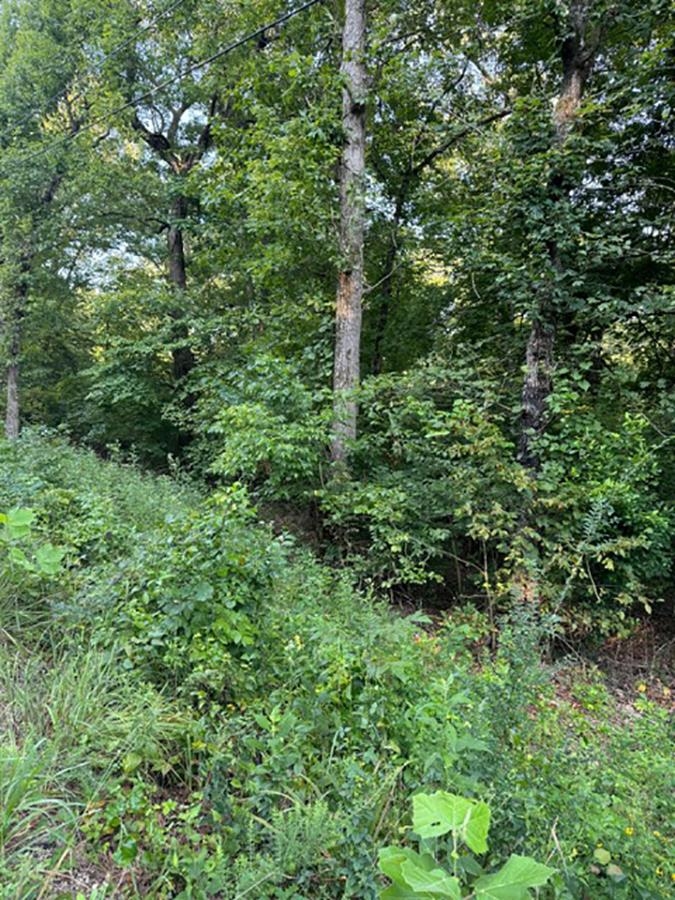 Woodland Hills Road Property Photo 3