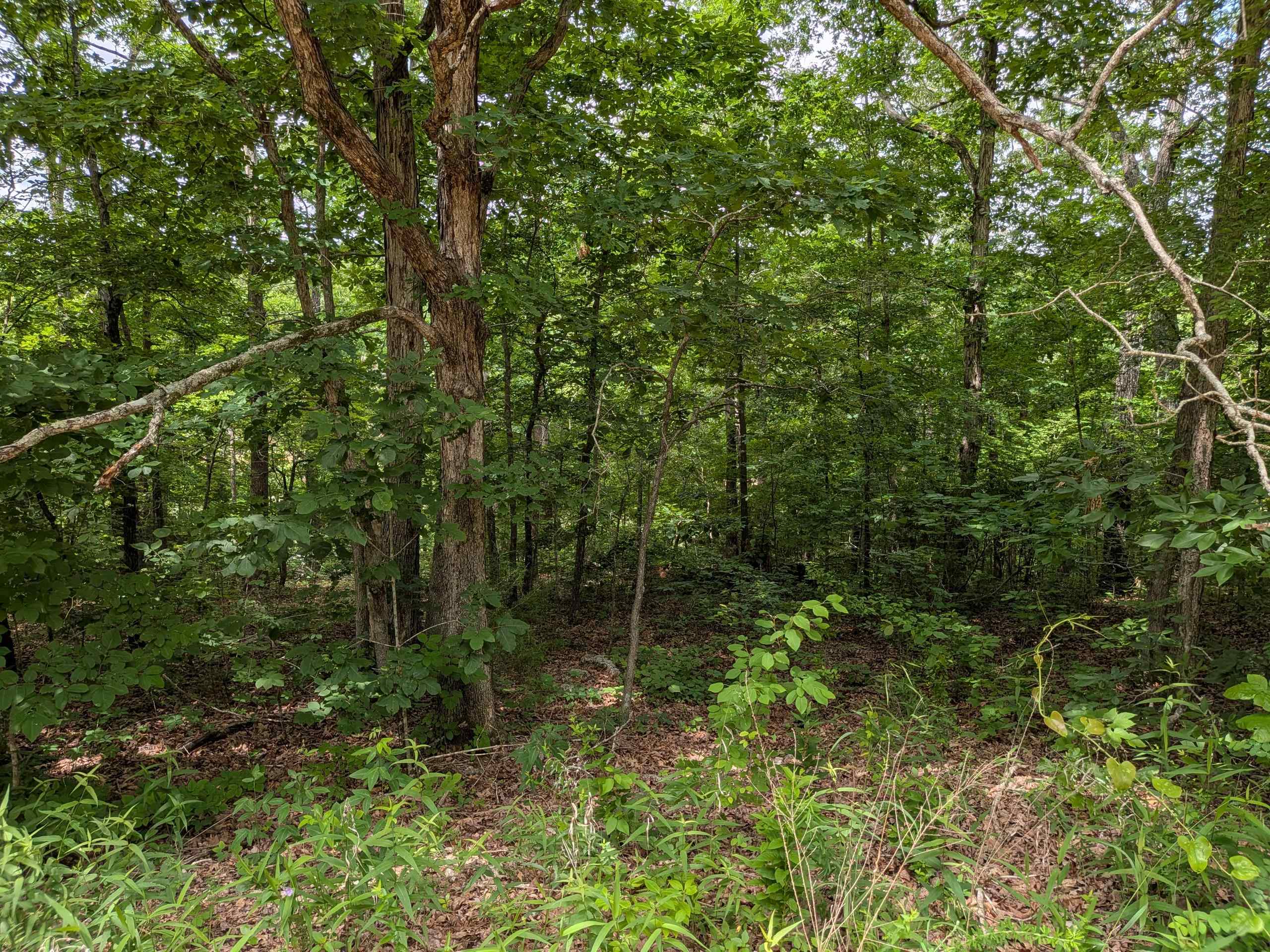E Lakeshore Drive Property Photo 4