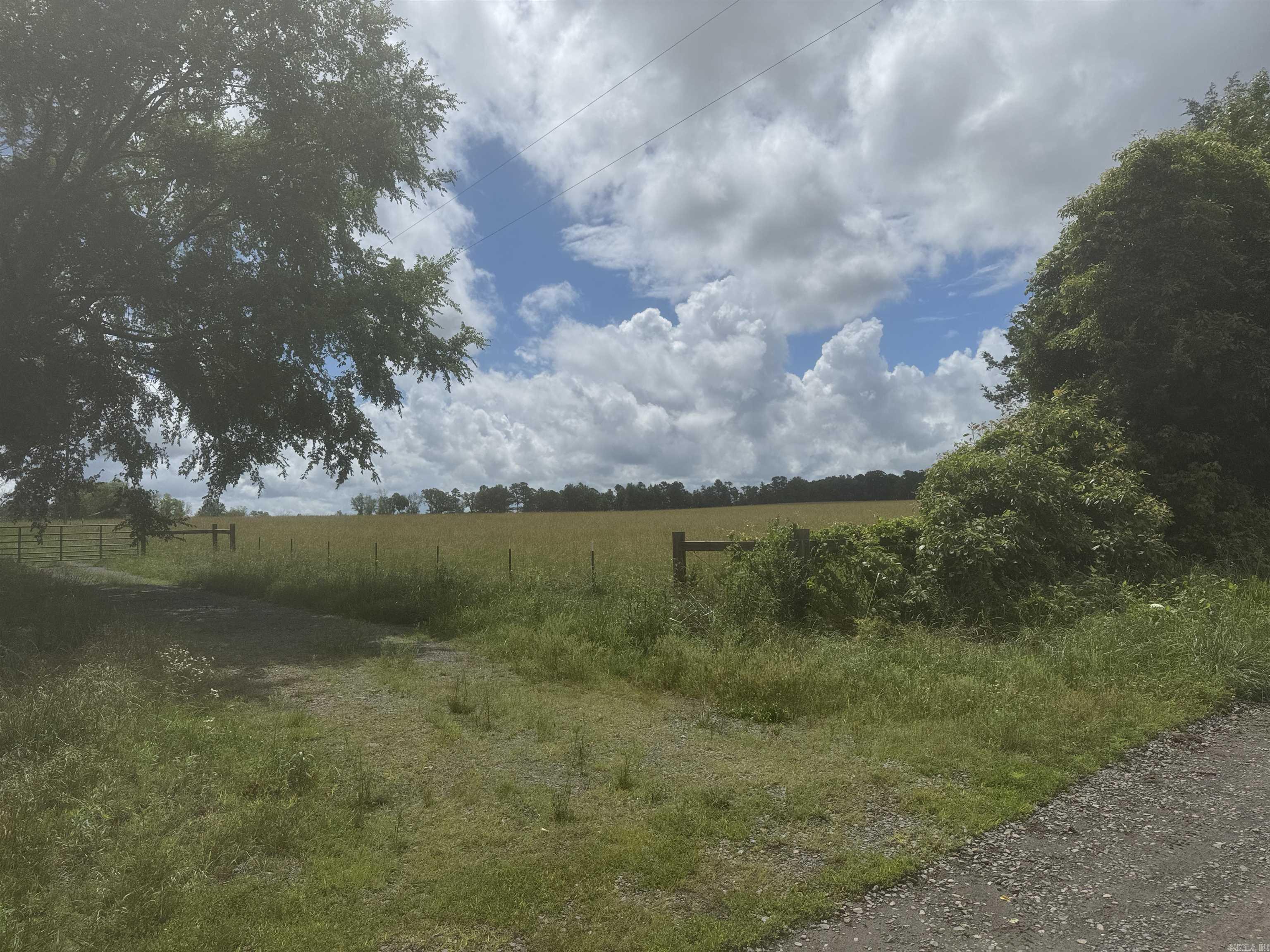 1304 Orchard Road Property Photo 15