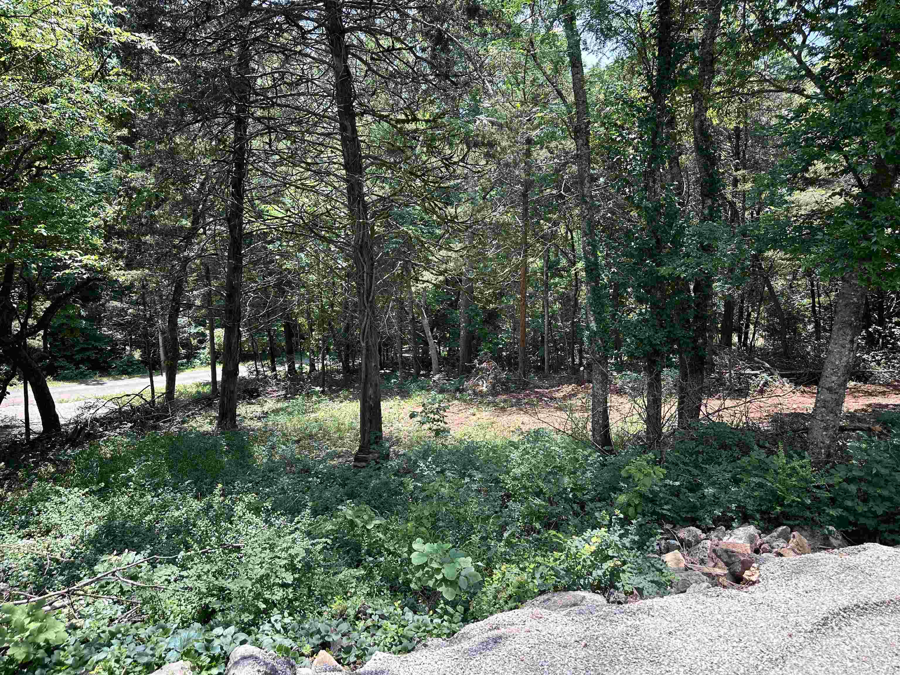 26 Quapaw Drive Property Photo 30