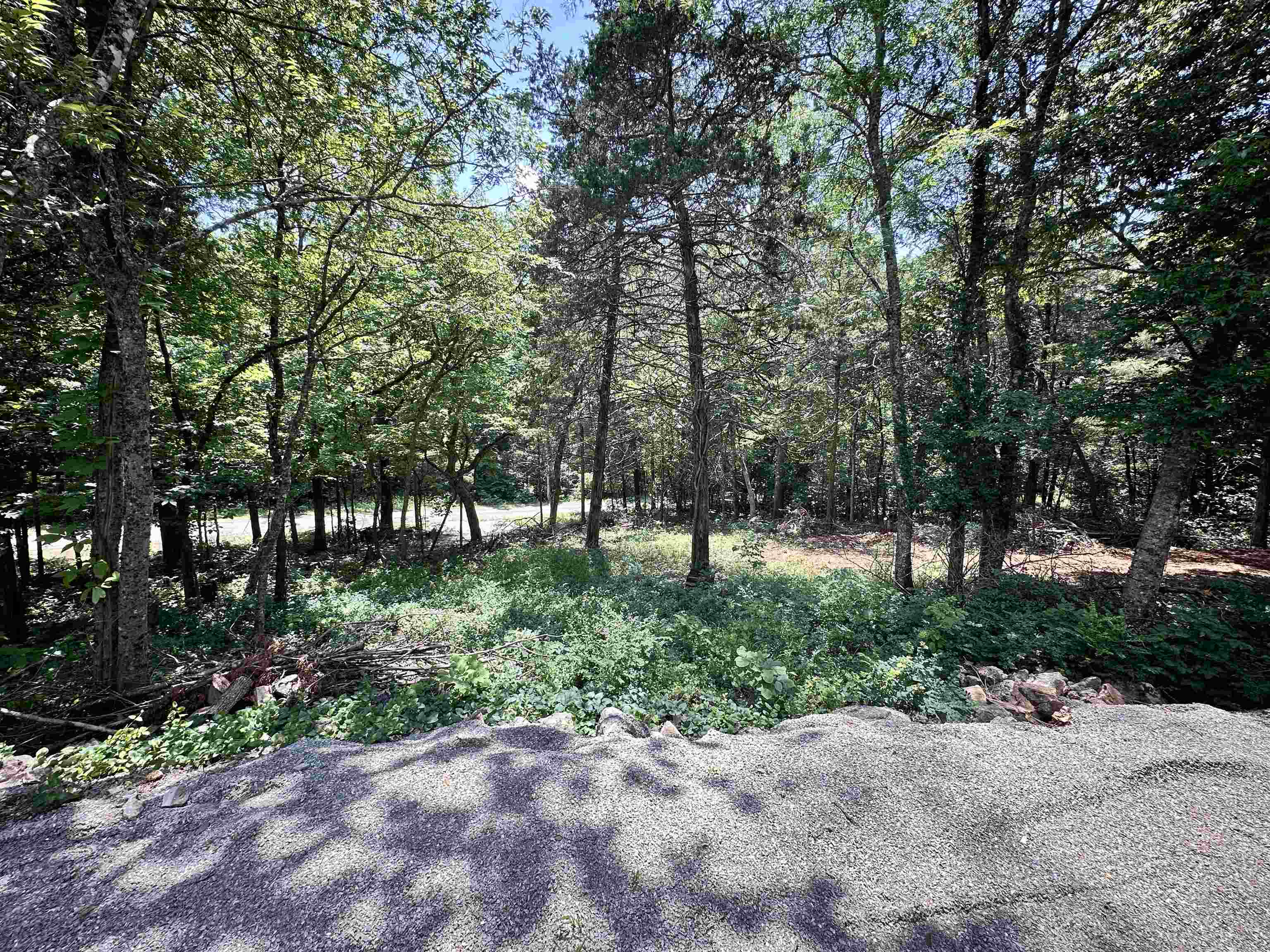 26 Quapaw Drive Property Photo 31
