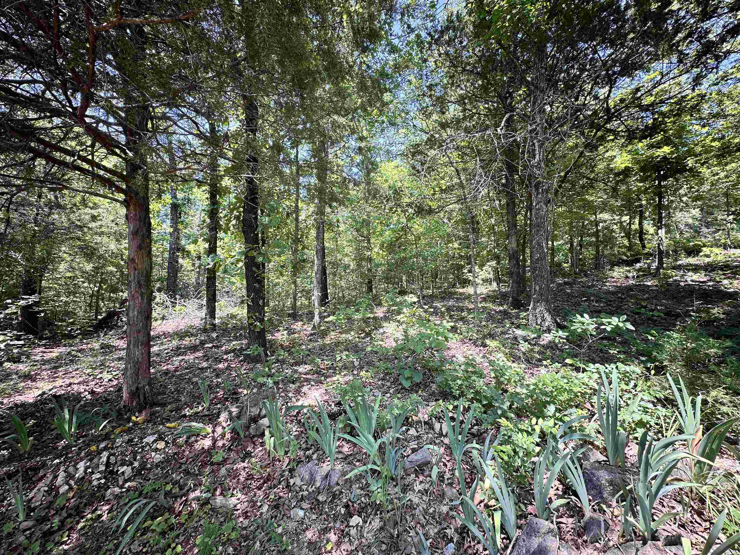 26 Quapaw Drive Property Photo 32