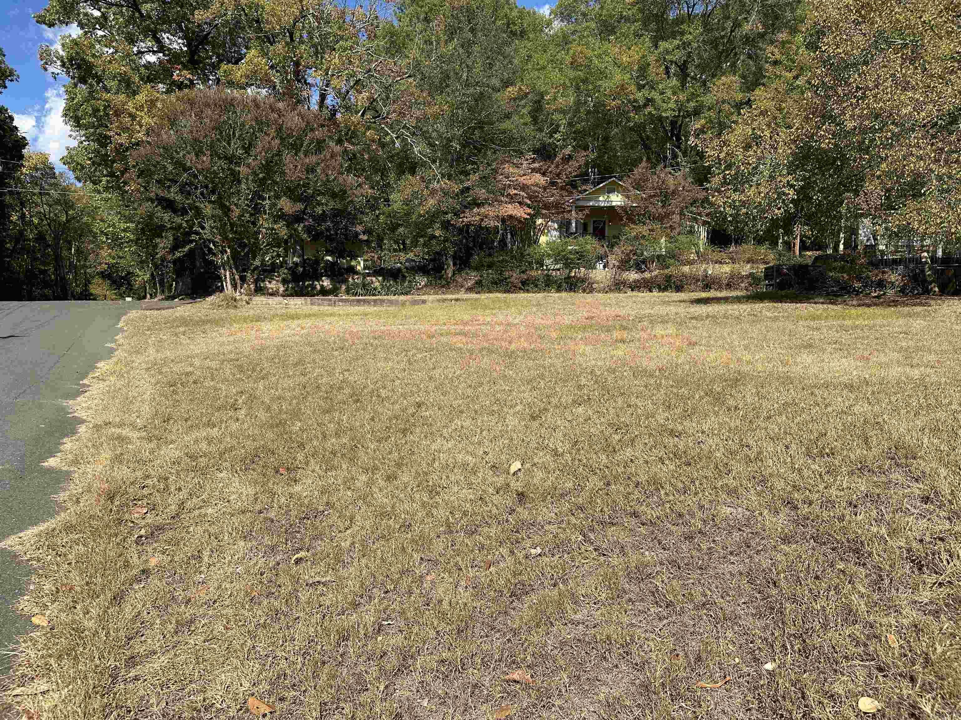 00 Whittington Avenue Property Photo 9