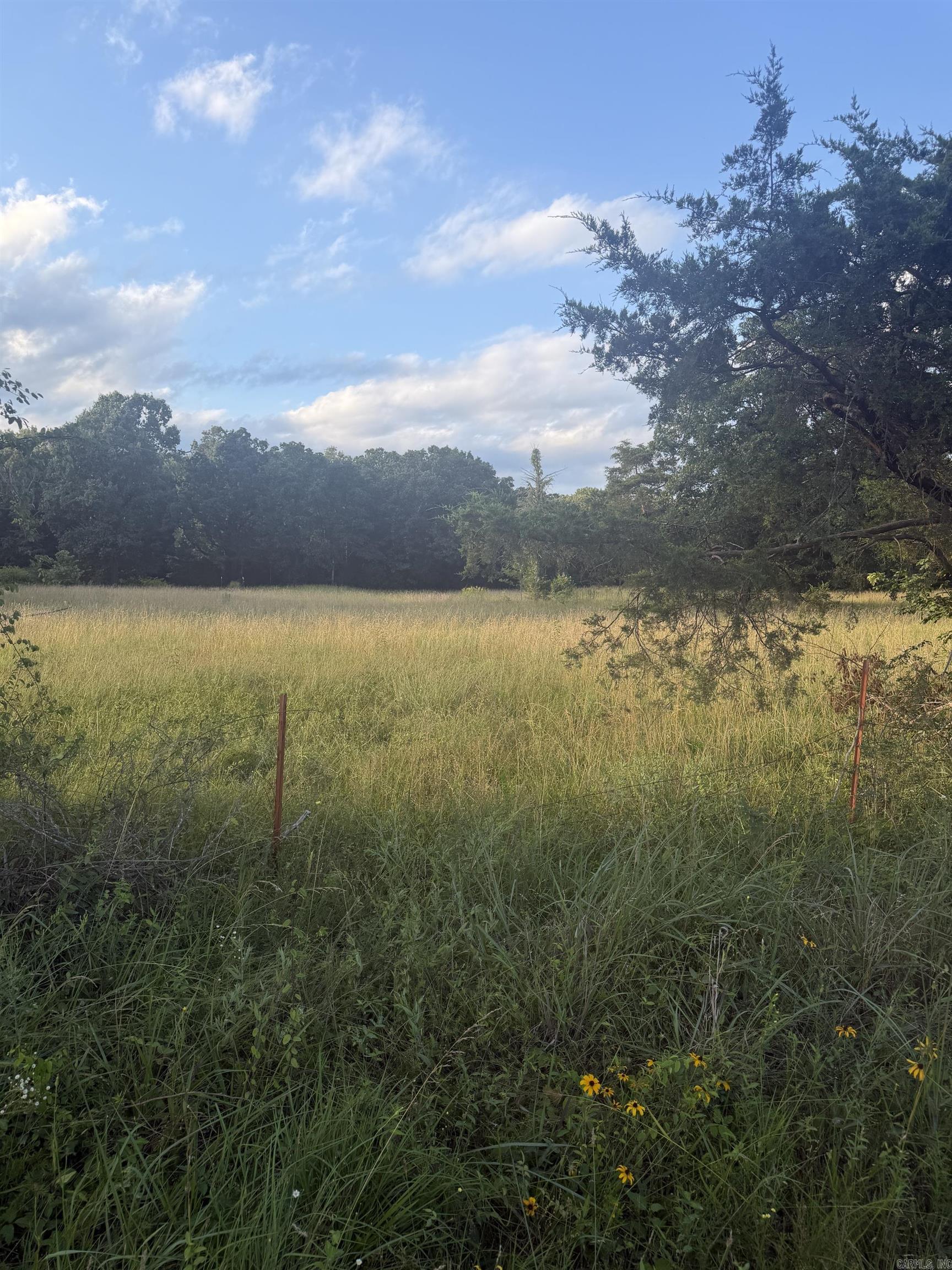 00 Pruett Road Property Photo 1