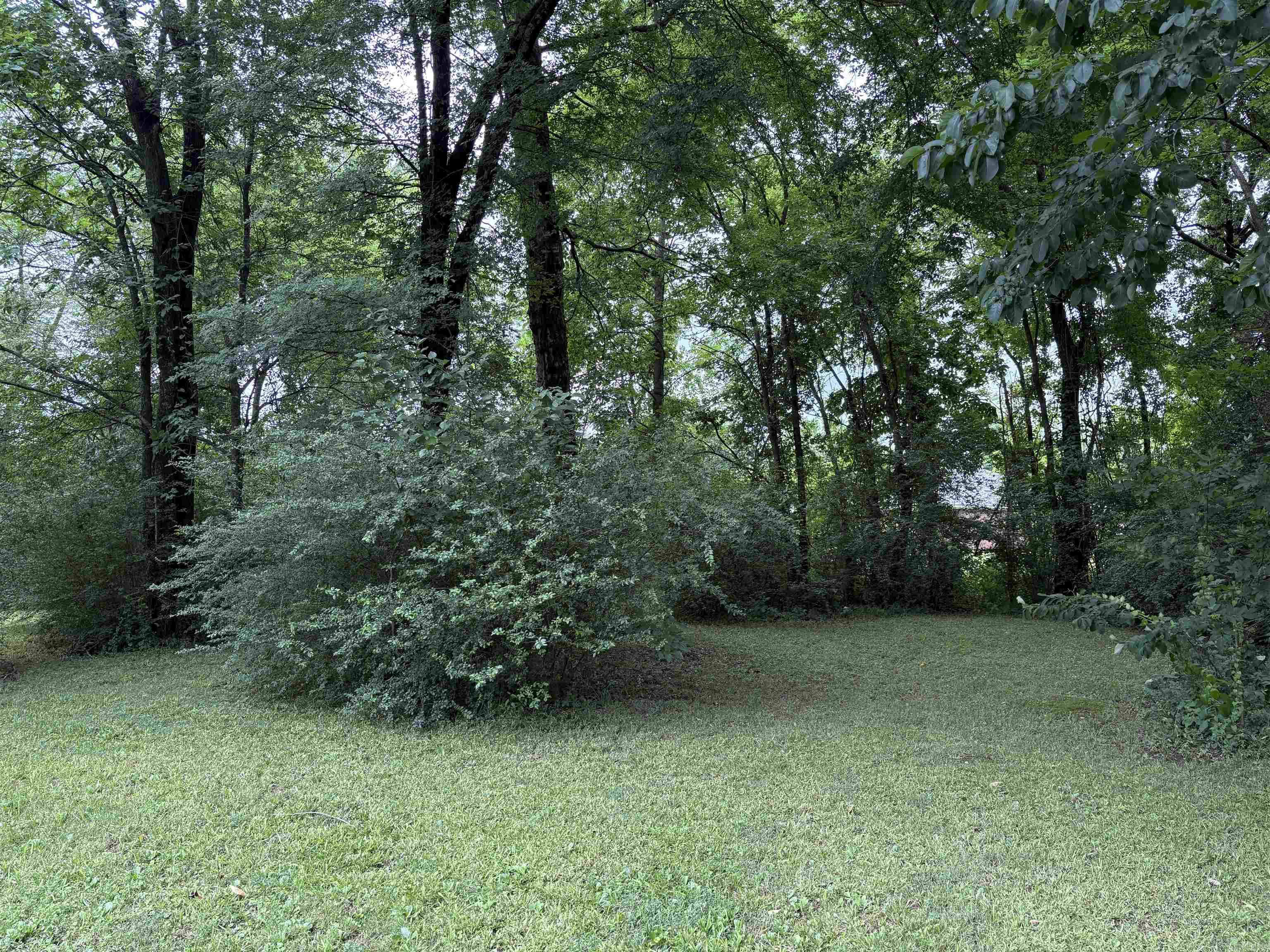 298 Niagra Falls Property Photo 16