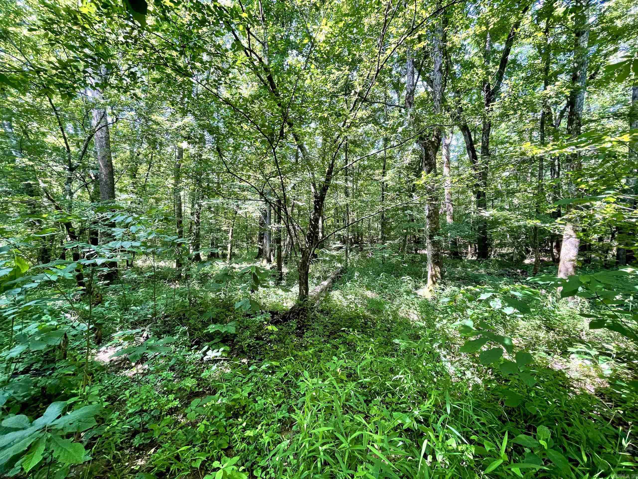 000 Resort Road Property Photo 23