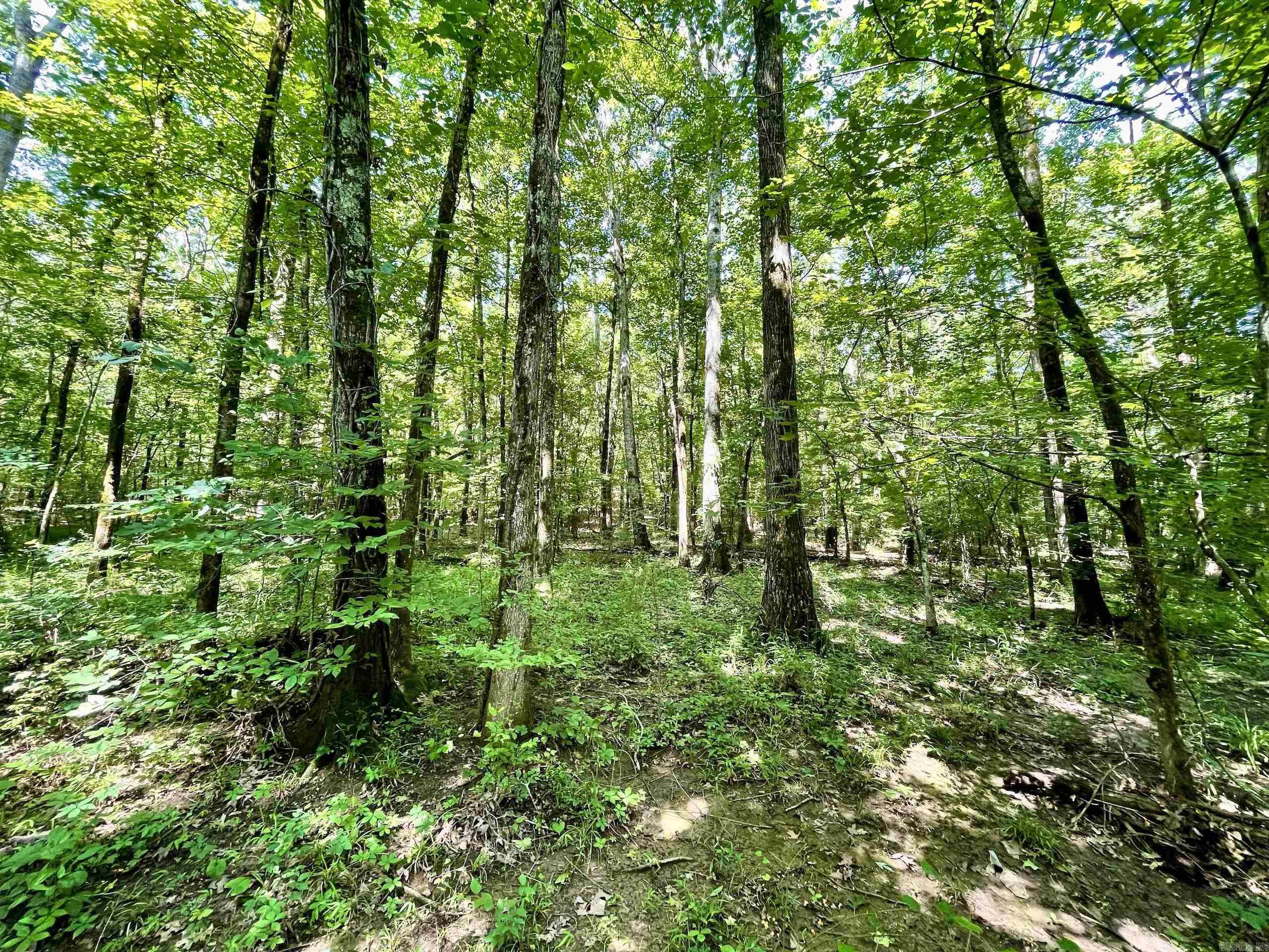 000 Resort Road Property Photo 25
