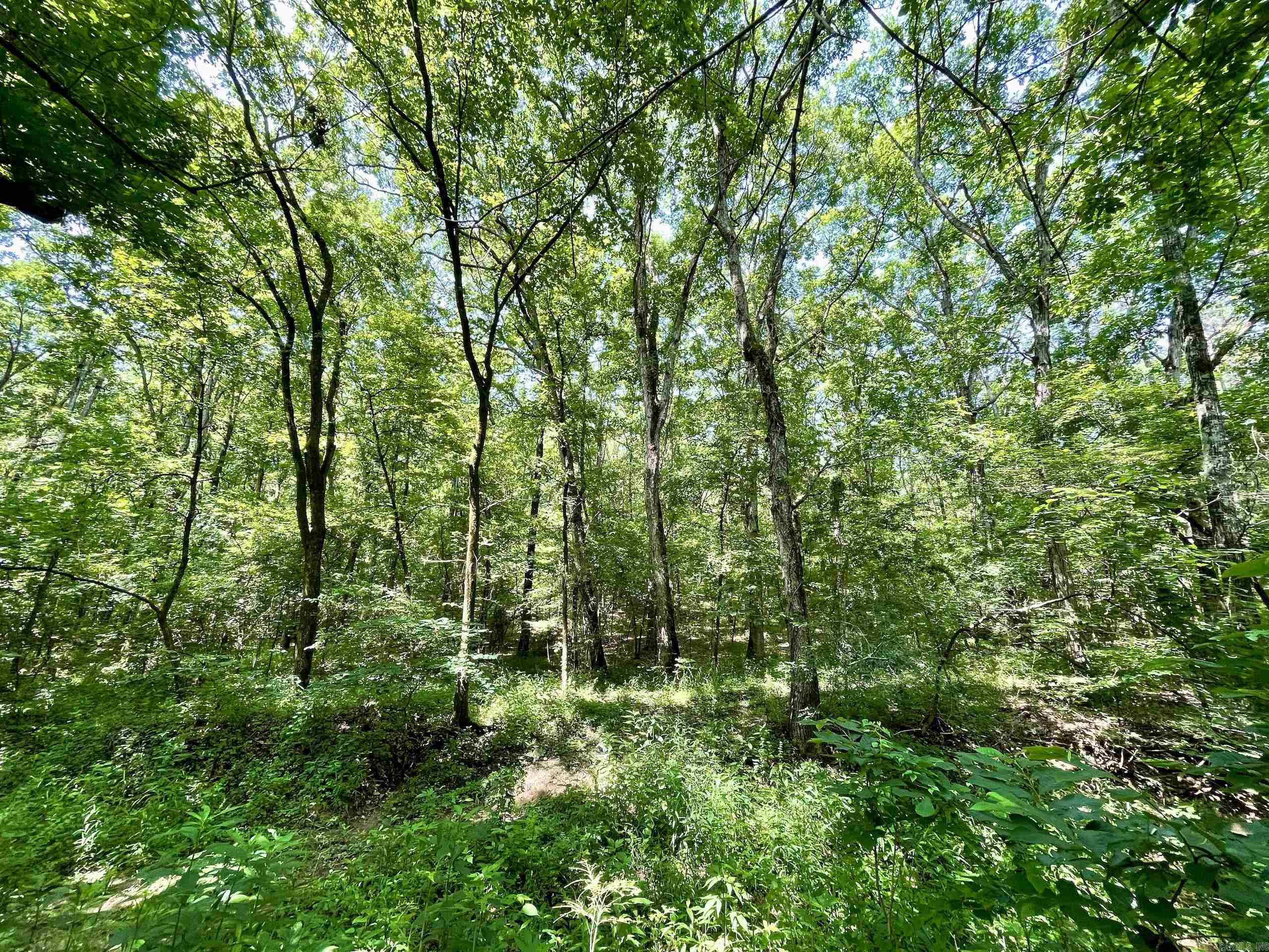000 Resort Road Property Photo 31