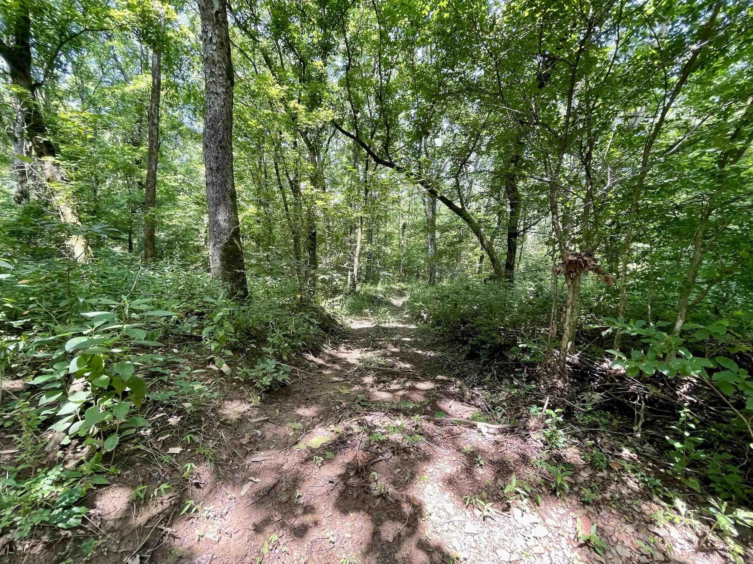 000 Resort Road Property Photo 33