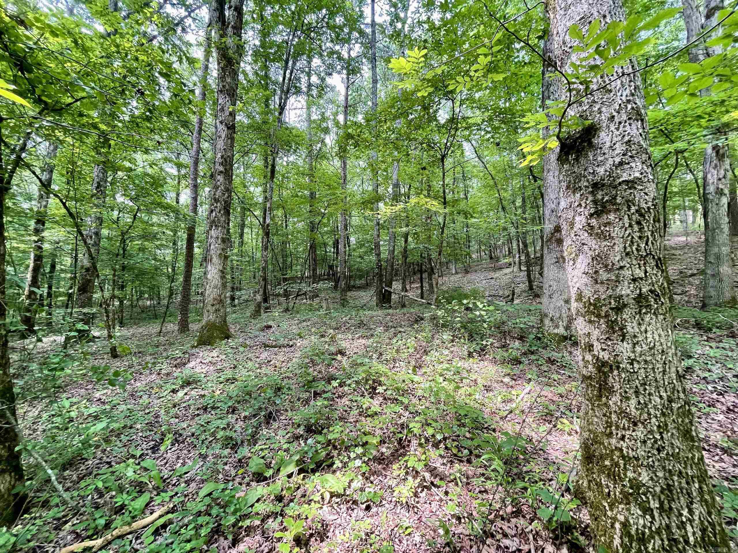 000 Resort Road Property Photo 37