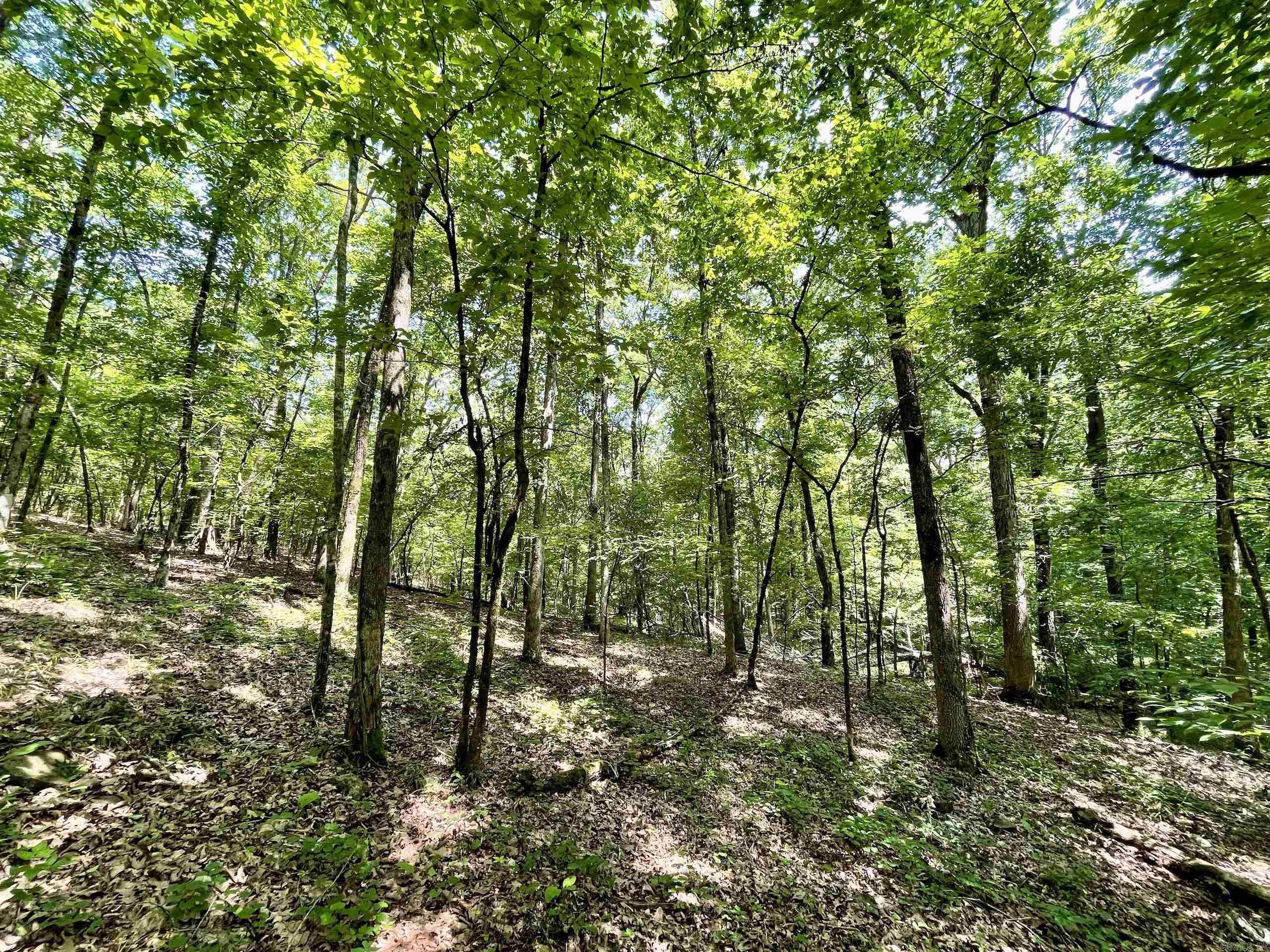000 Resort Road Property Photo 38