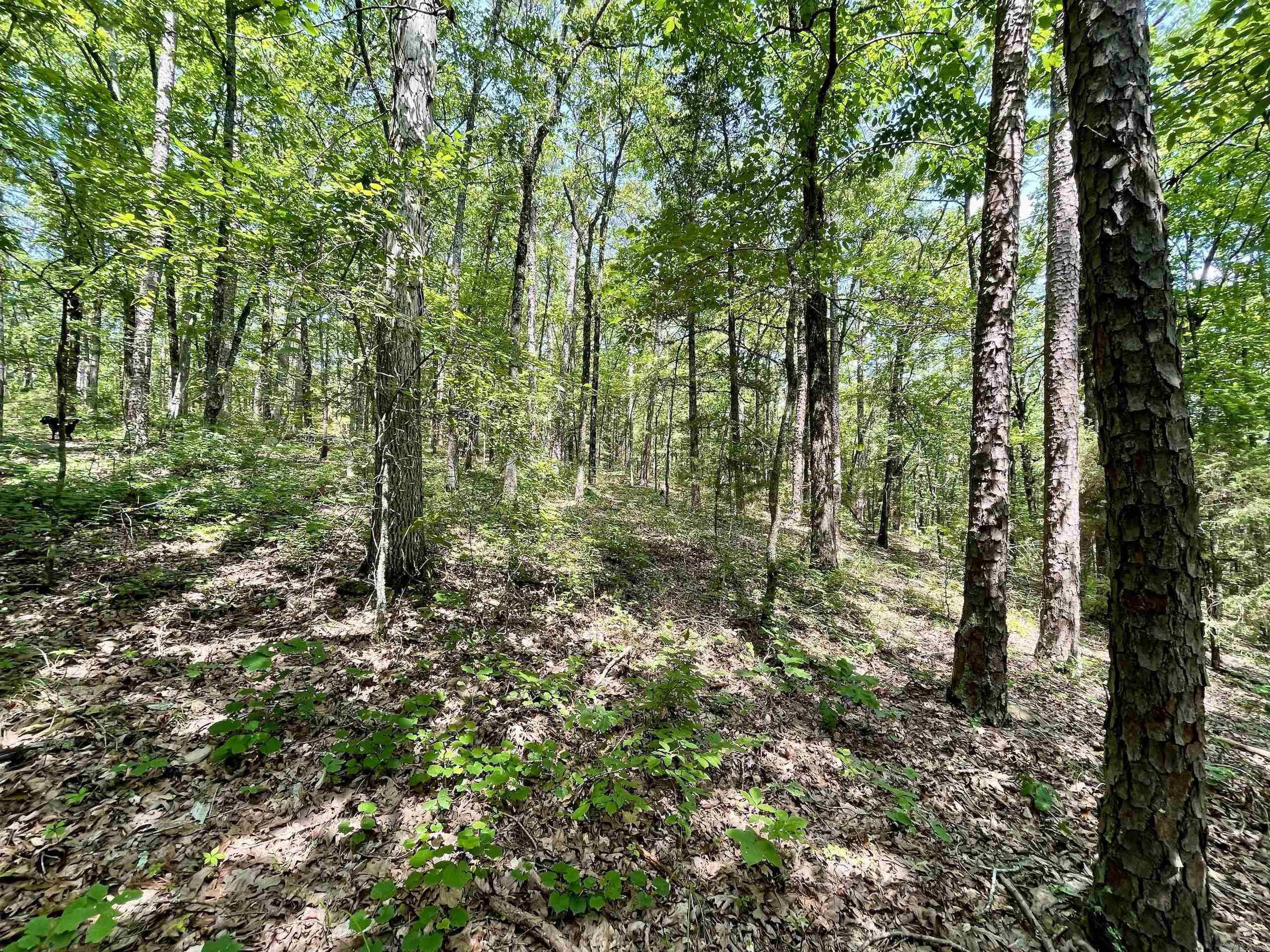 000 Resort Road Property Photo 39