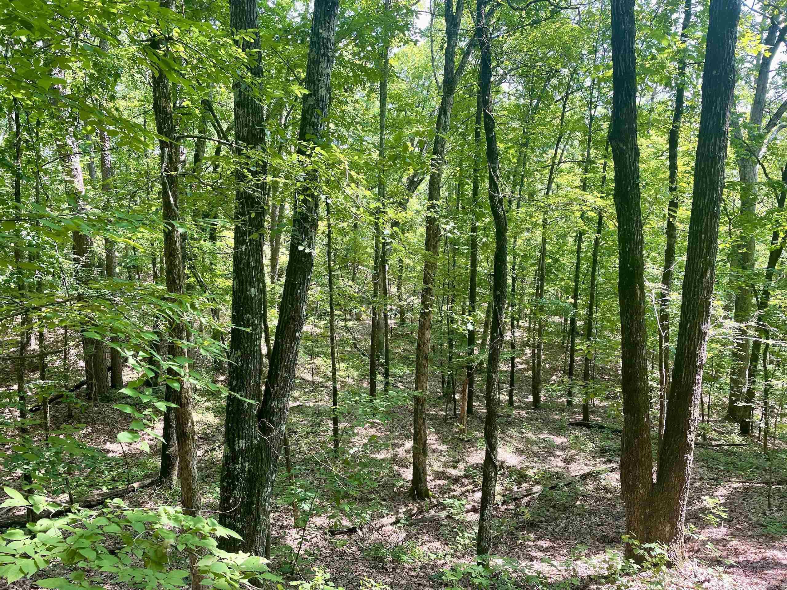 000 Resort Road Property Photo 41