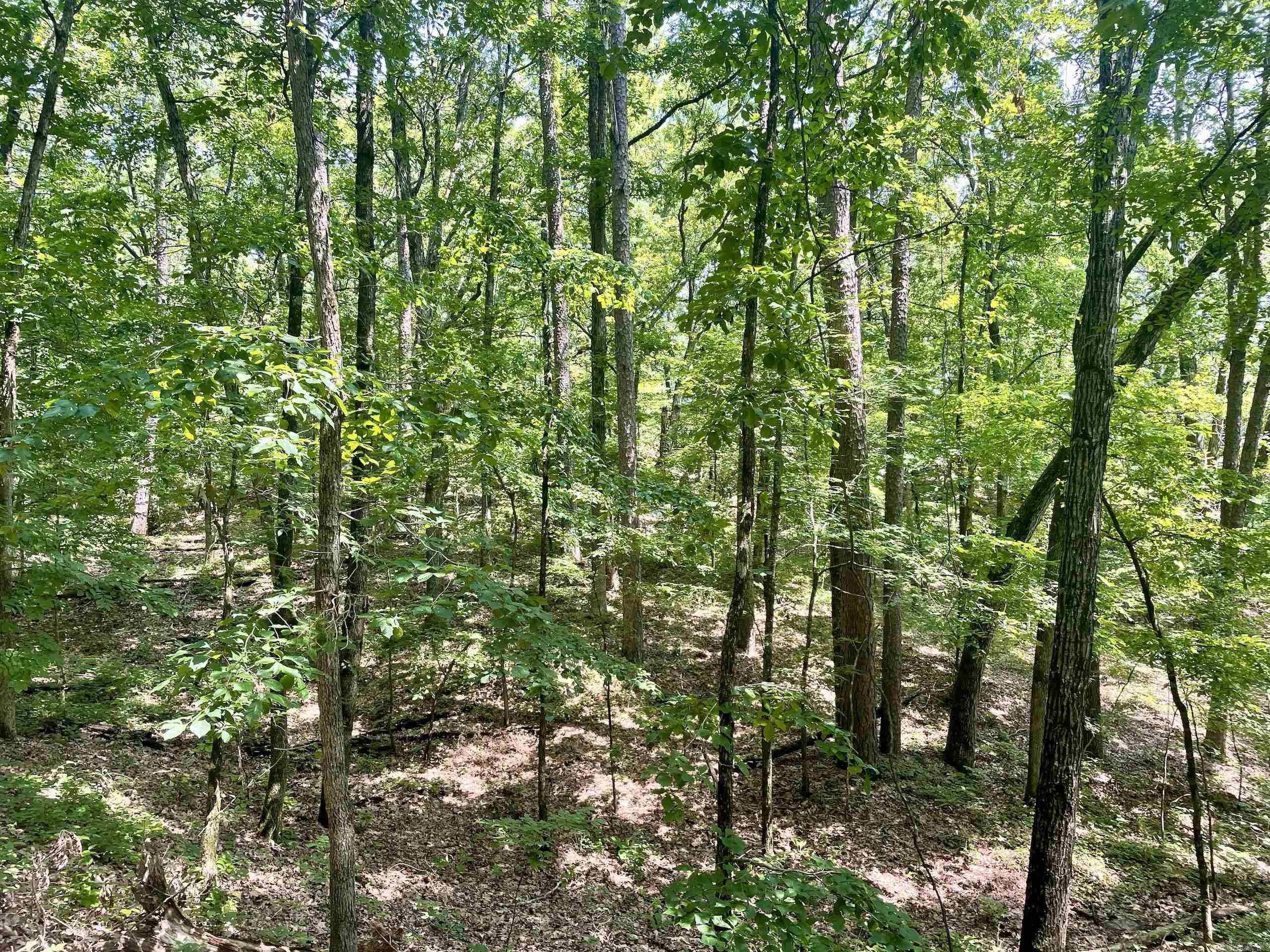 000 Resort Road Property Photo 42