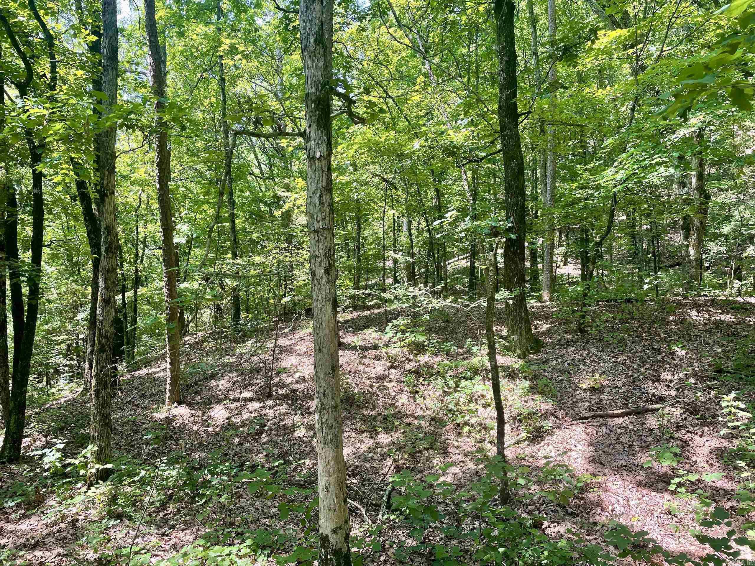 000 Resort Road Property Photo 44