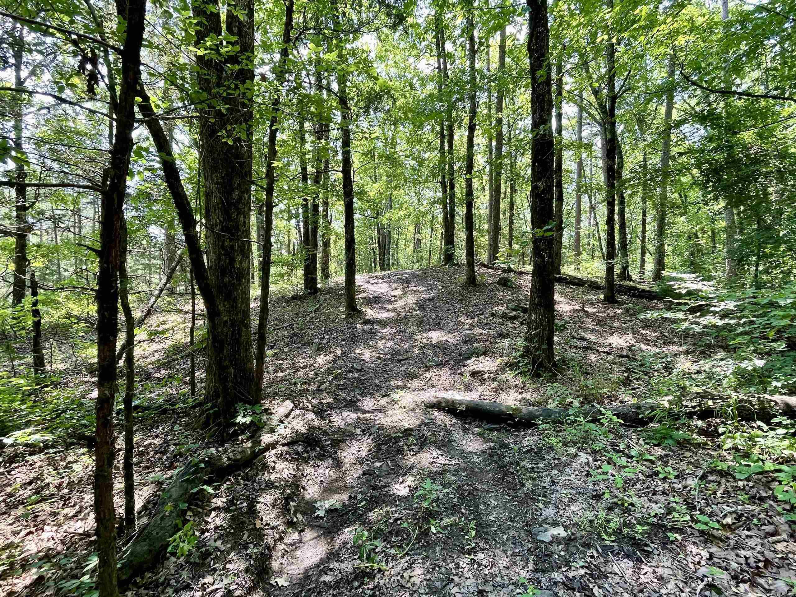 000 Resort Road Property Photo 47