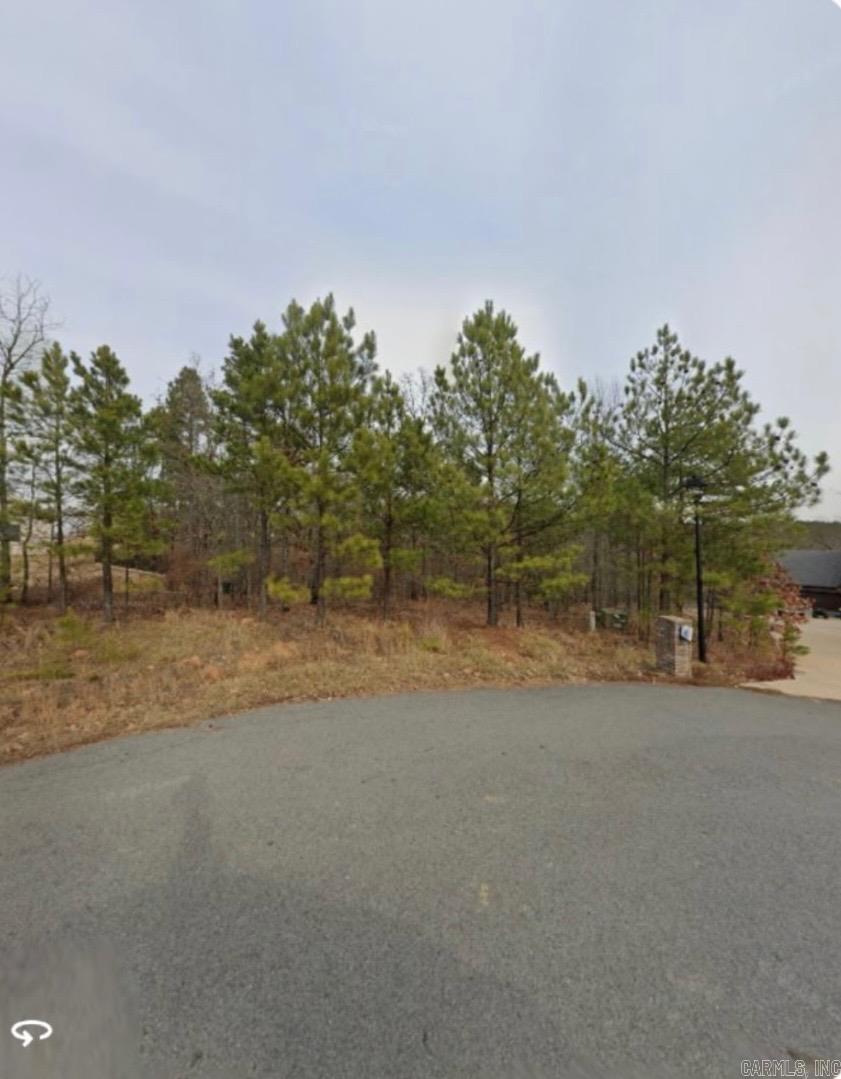 15600 Scenic Point Dr Property Photo 2