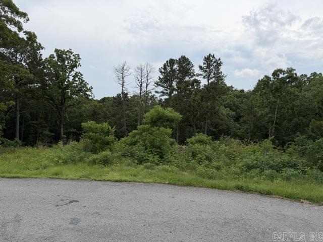 15600 Scenic Point Dr Property Photo 3