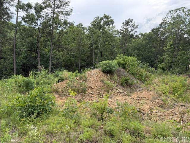 15600 Scenic Point Dr Property Photo 4