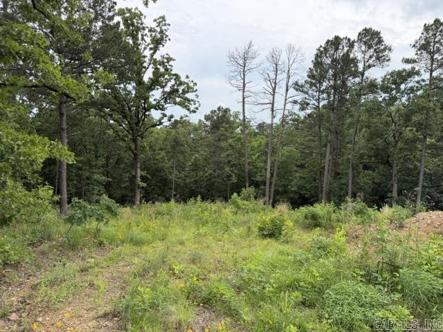 15600 Scenic Point Dr Property Photo 5