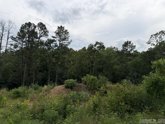 15600 Scenic Point Dr Property Photo 6