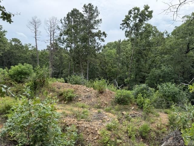 15600 Scenic Point Dr Property Photo 8