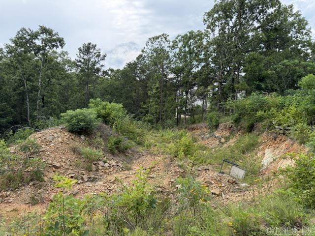 15600 Scenic Point Dr Property Photo 9
