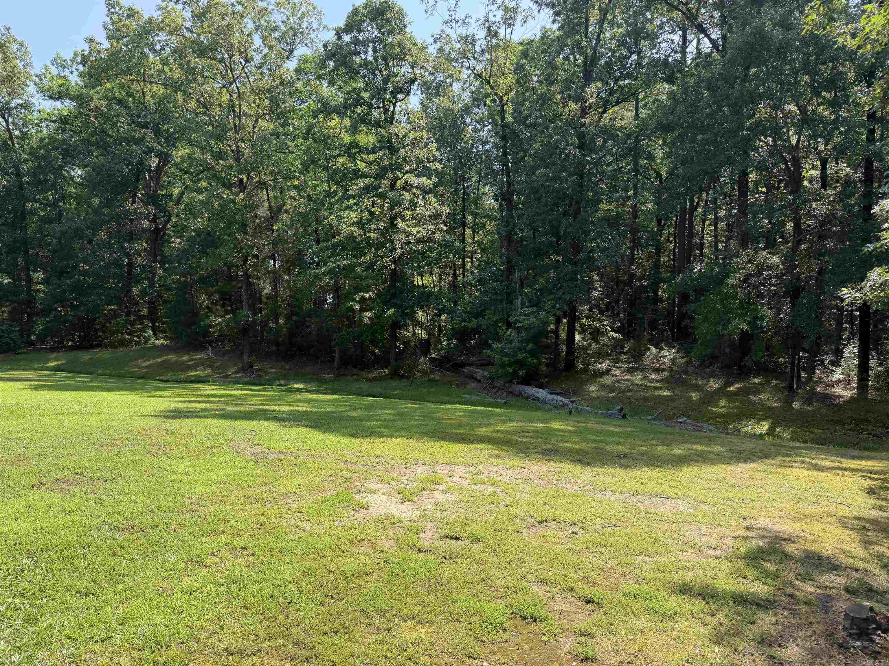 7711 Highway 54 Property Photo 5