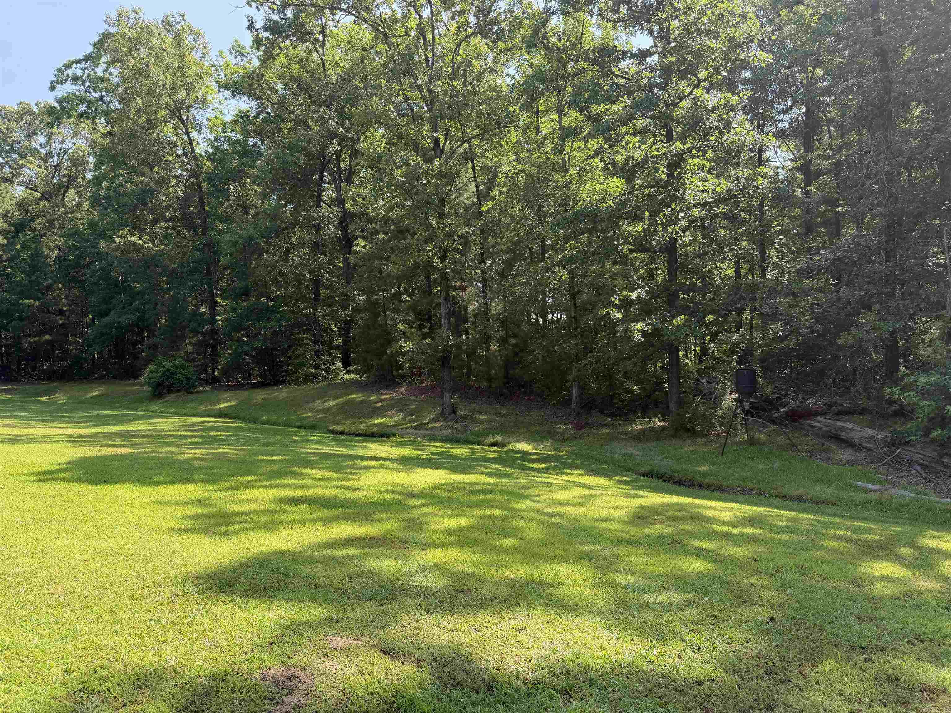 7711 Highway 54 Property Photo 7