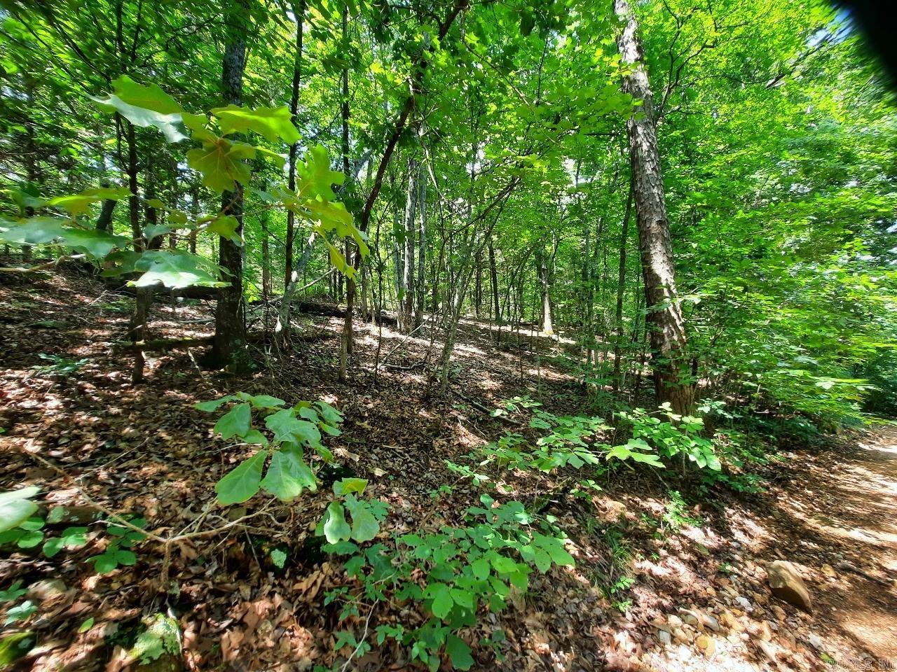00 Wildhaven Road Property Photo 2