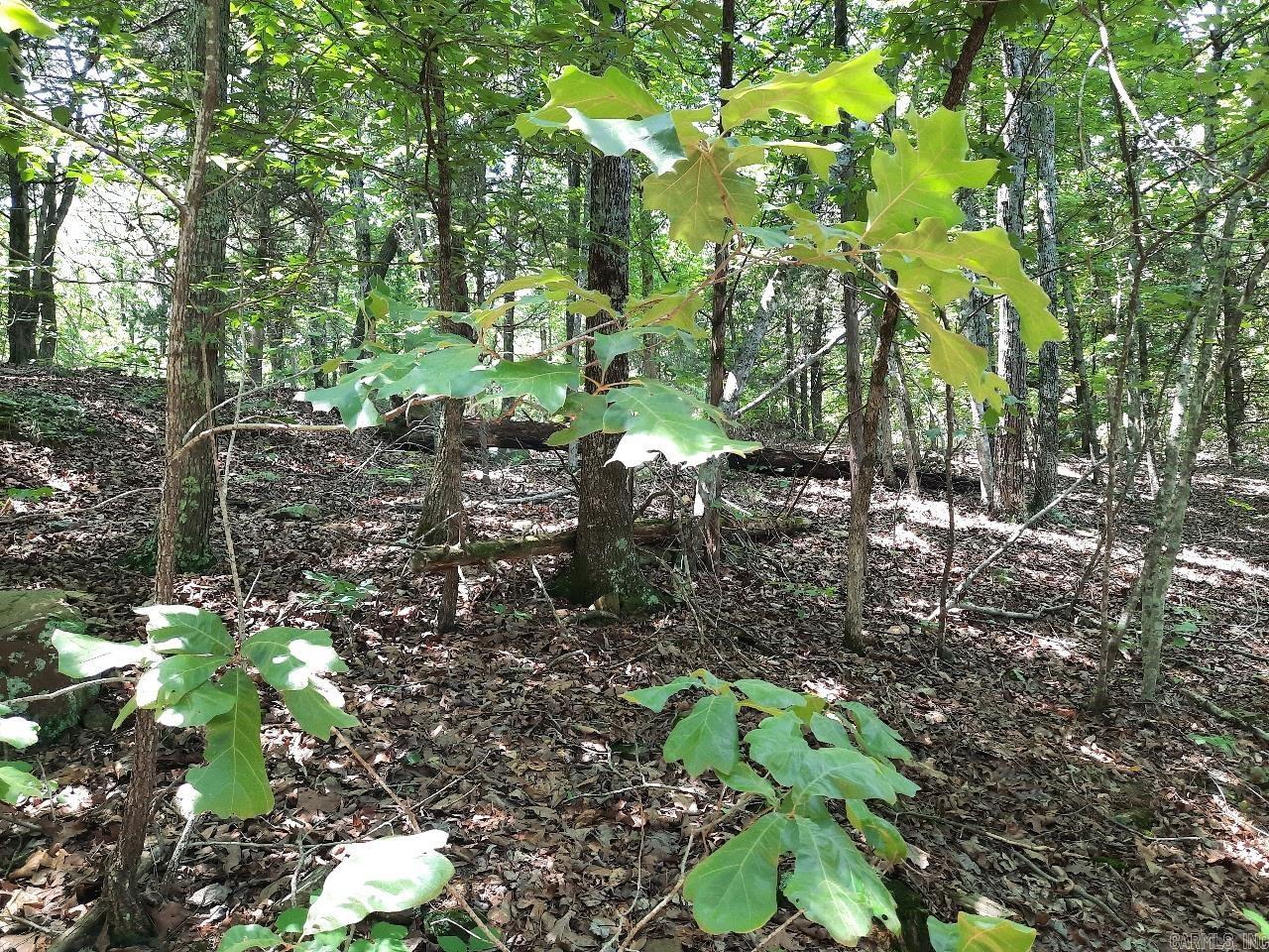 00 Wildhaven Road Property Photo 3