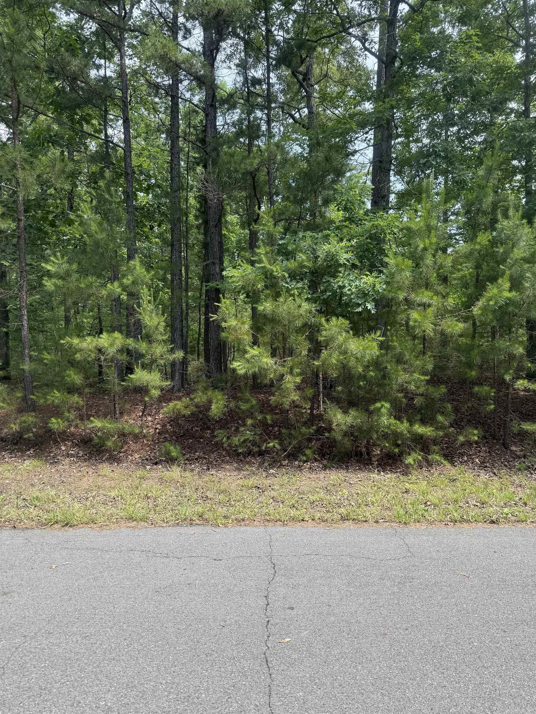 29 Ballobar Lane Property Photo 1