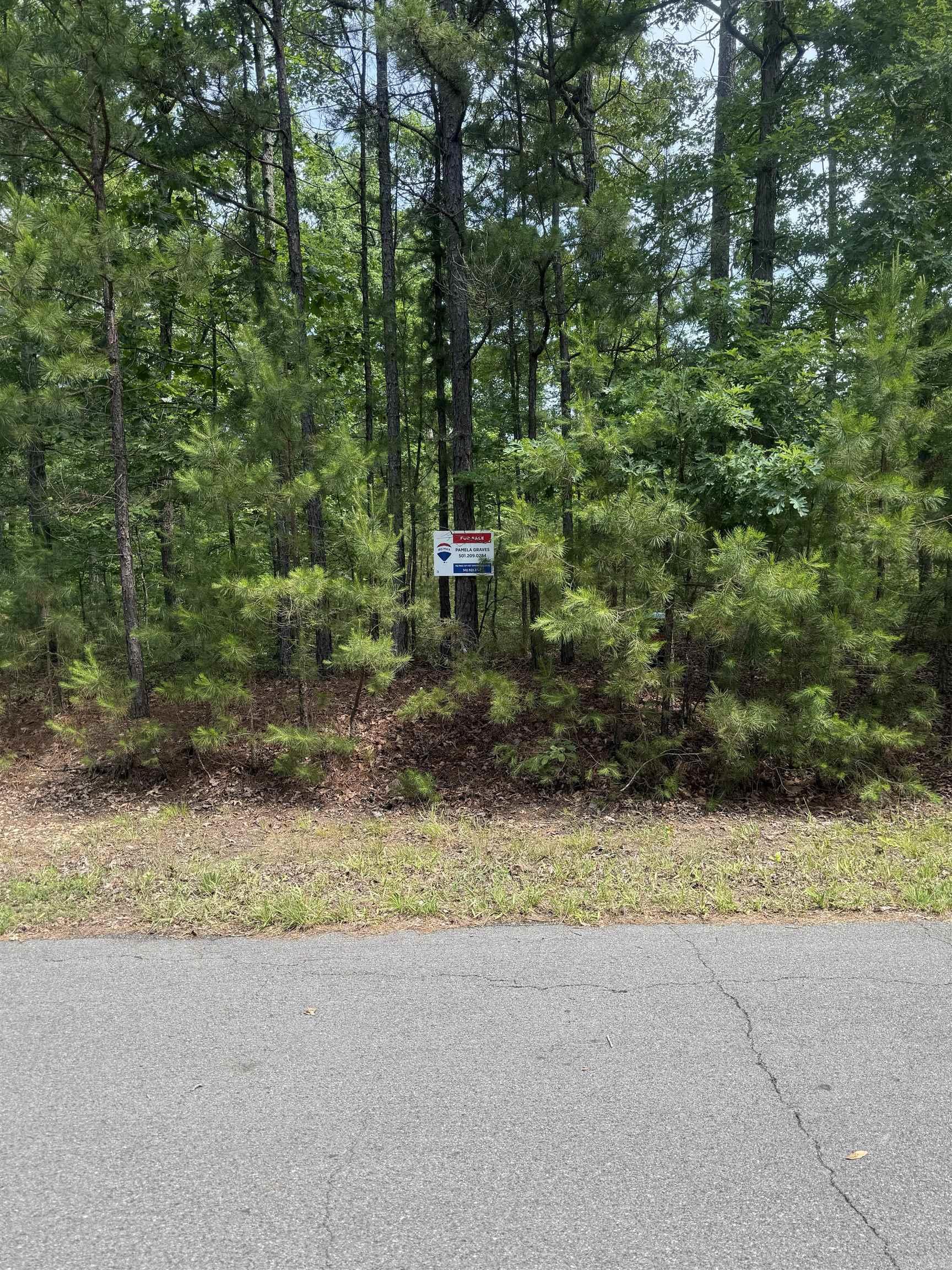 29 Ballobar Lane Property Photo 9