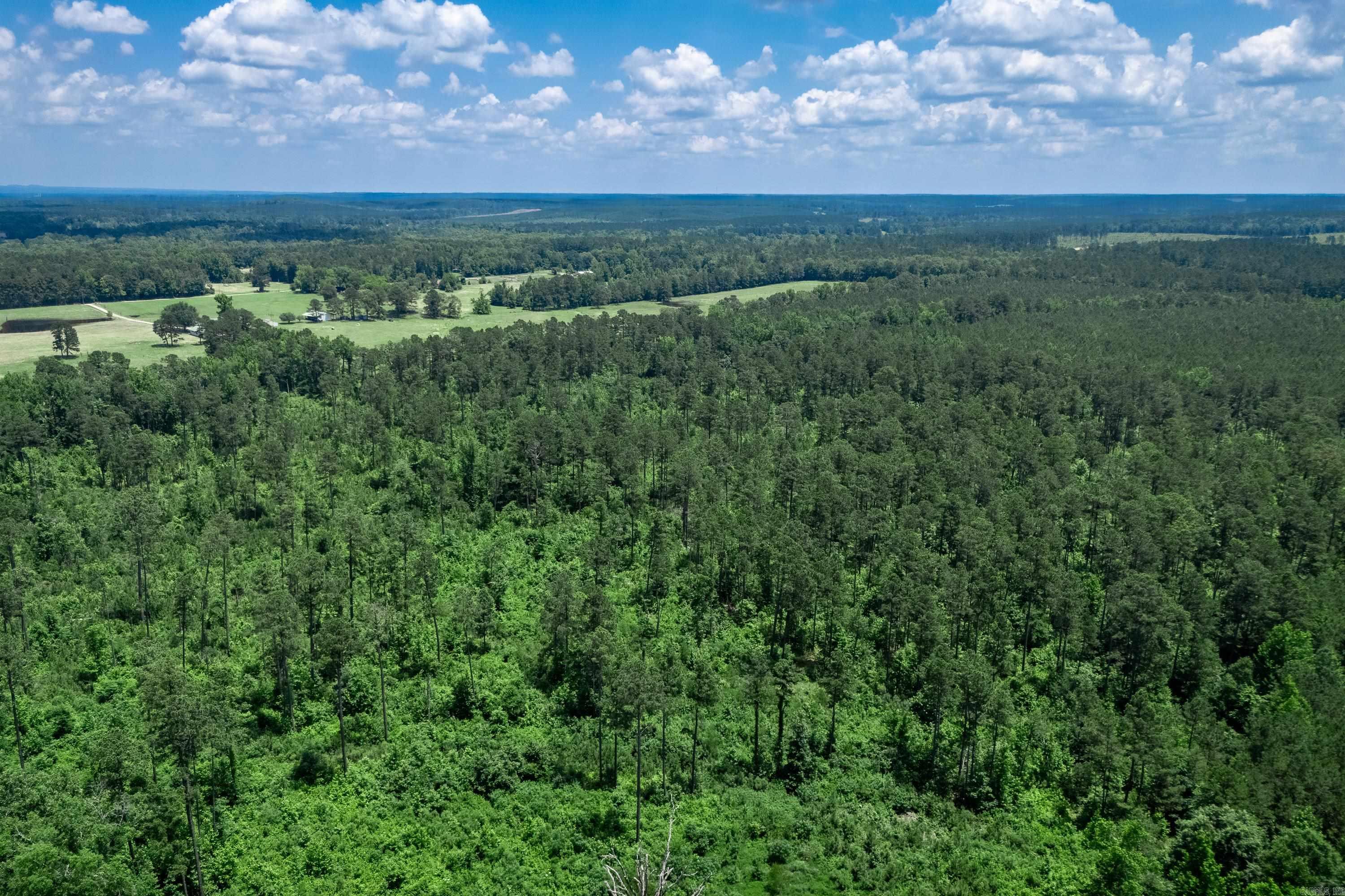 Tbd Mathews Road Property Photo 1