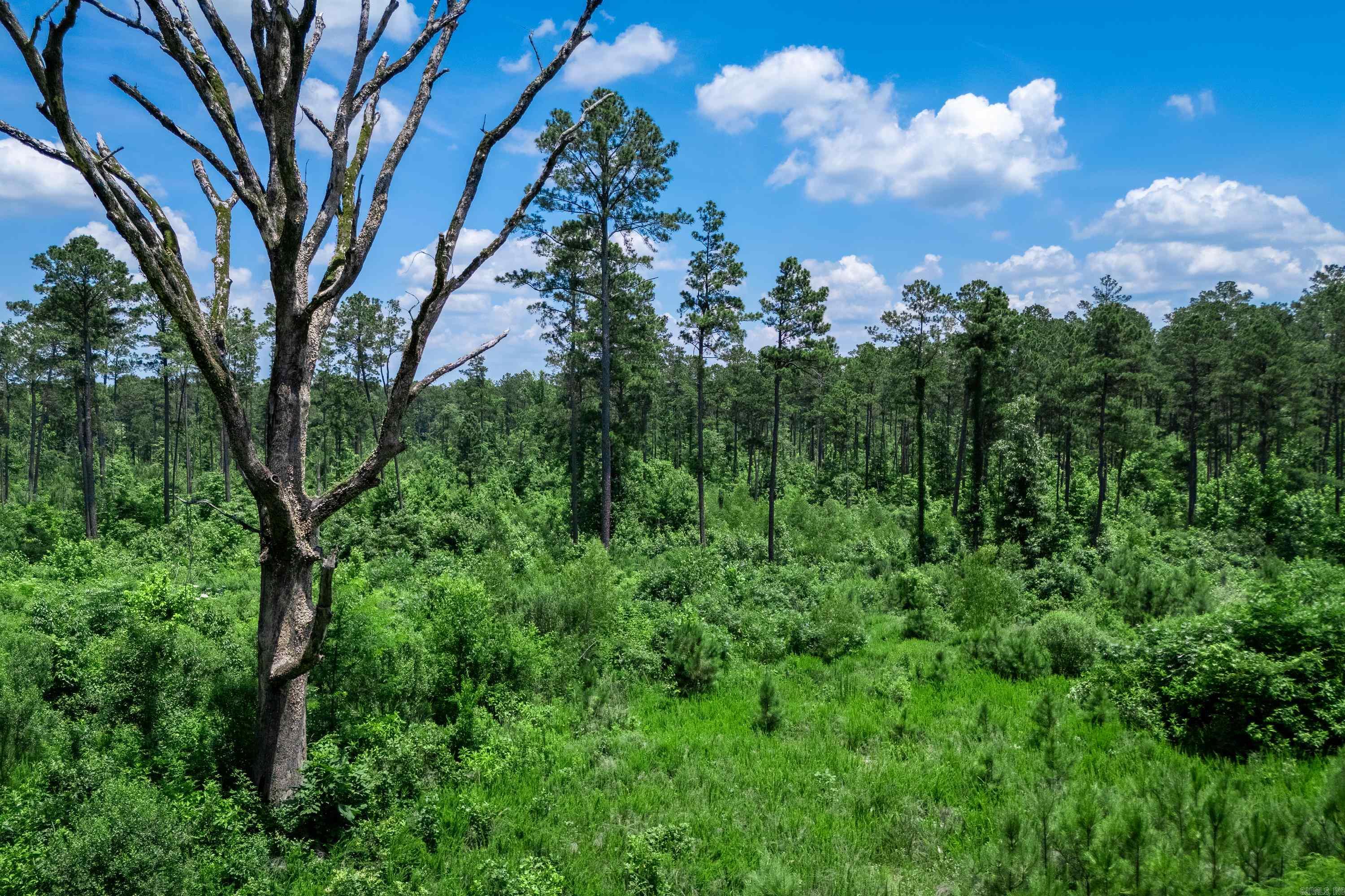 Tbd Mathews Road Property Photo 3