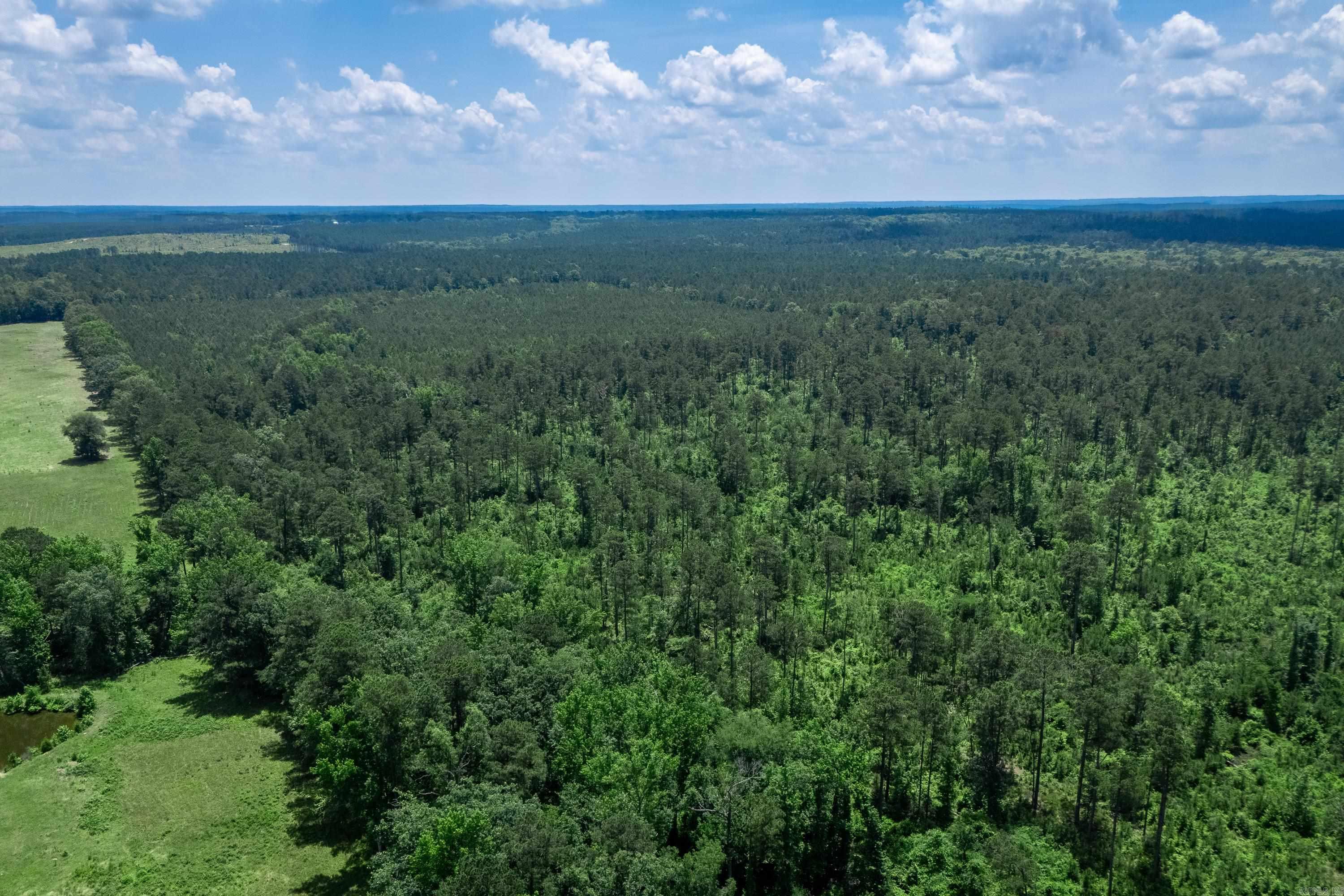 Tbd Mathews Road Property Photo 5