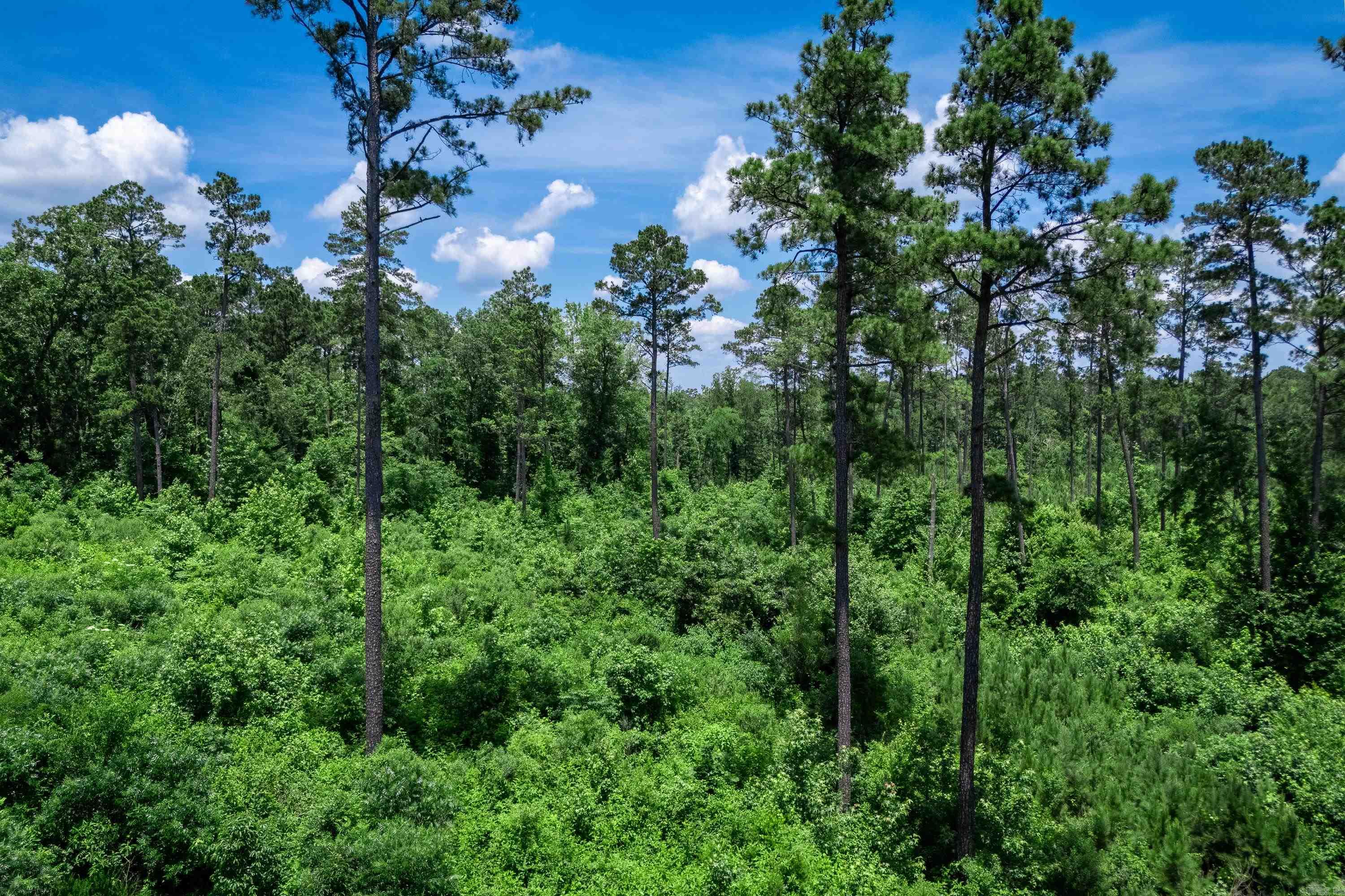 Tbd Mathews Road Property Photo 9