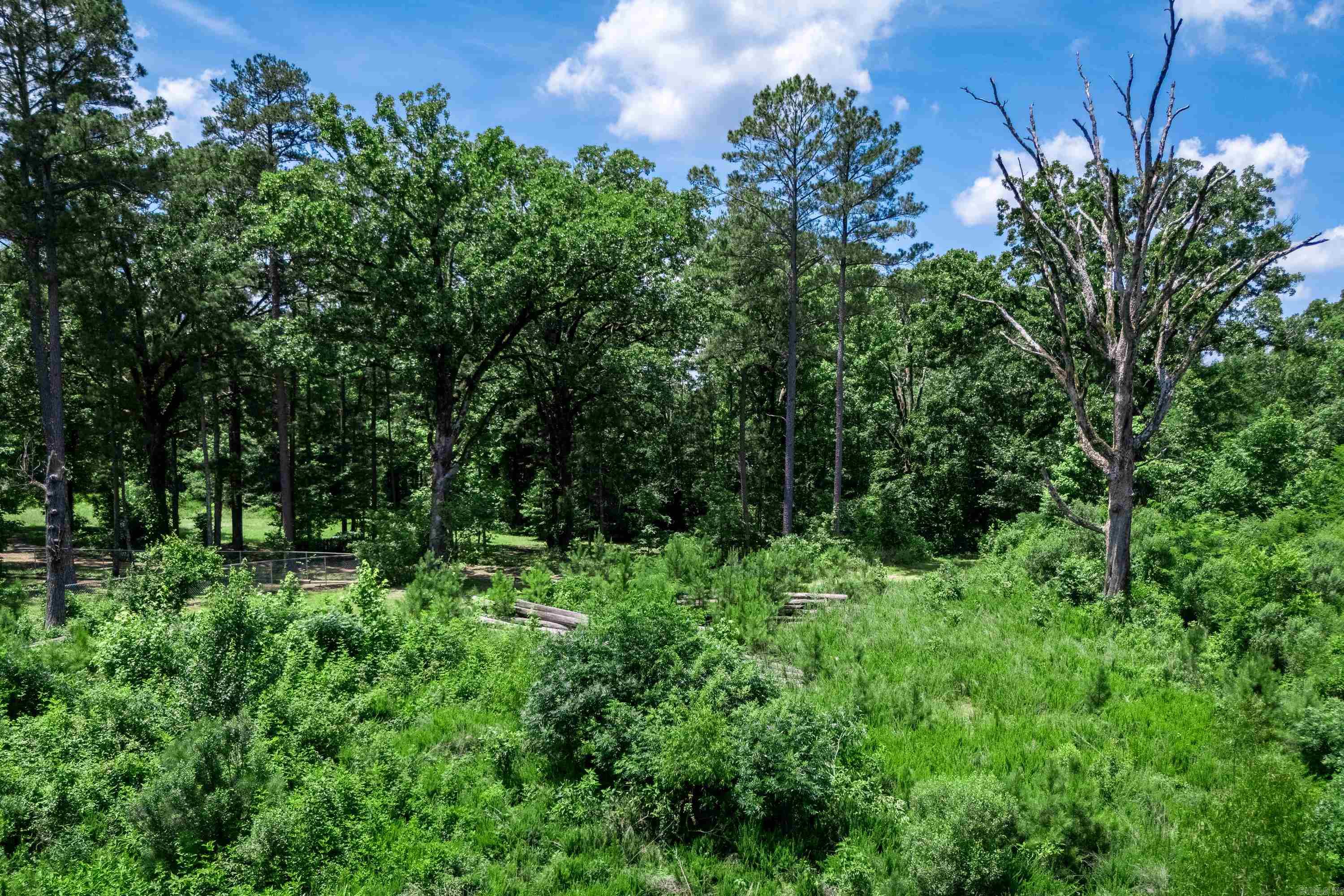 Tbd Mathews Road Property Photo 10