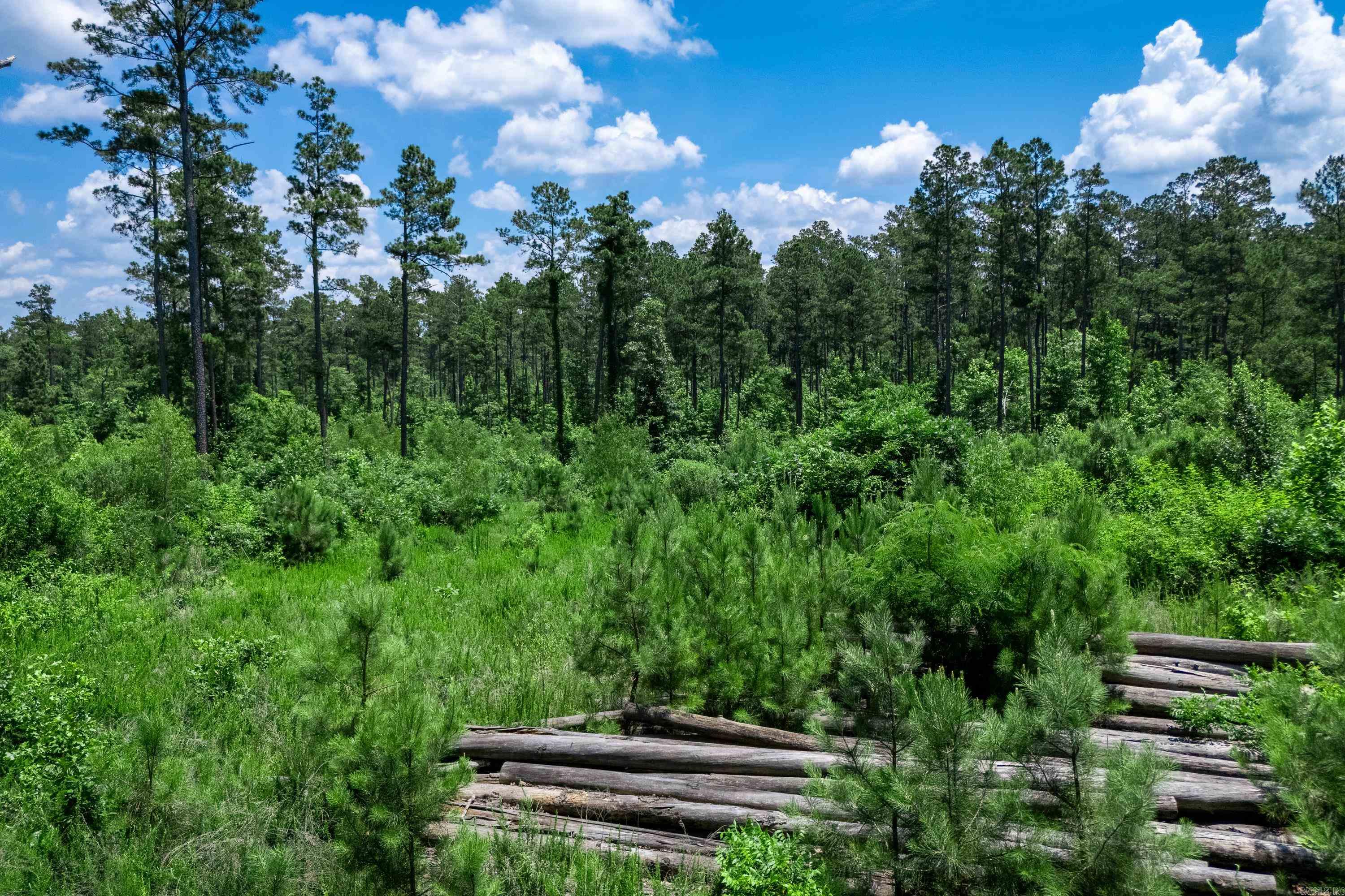 Tbd Mathews Road Property Photo 11